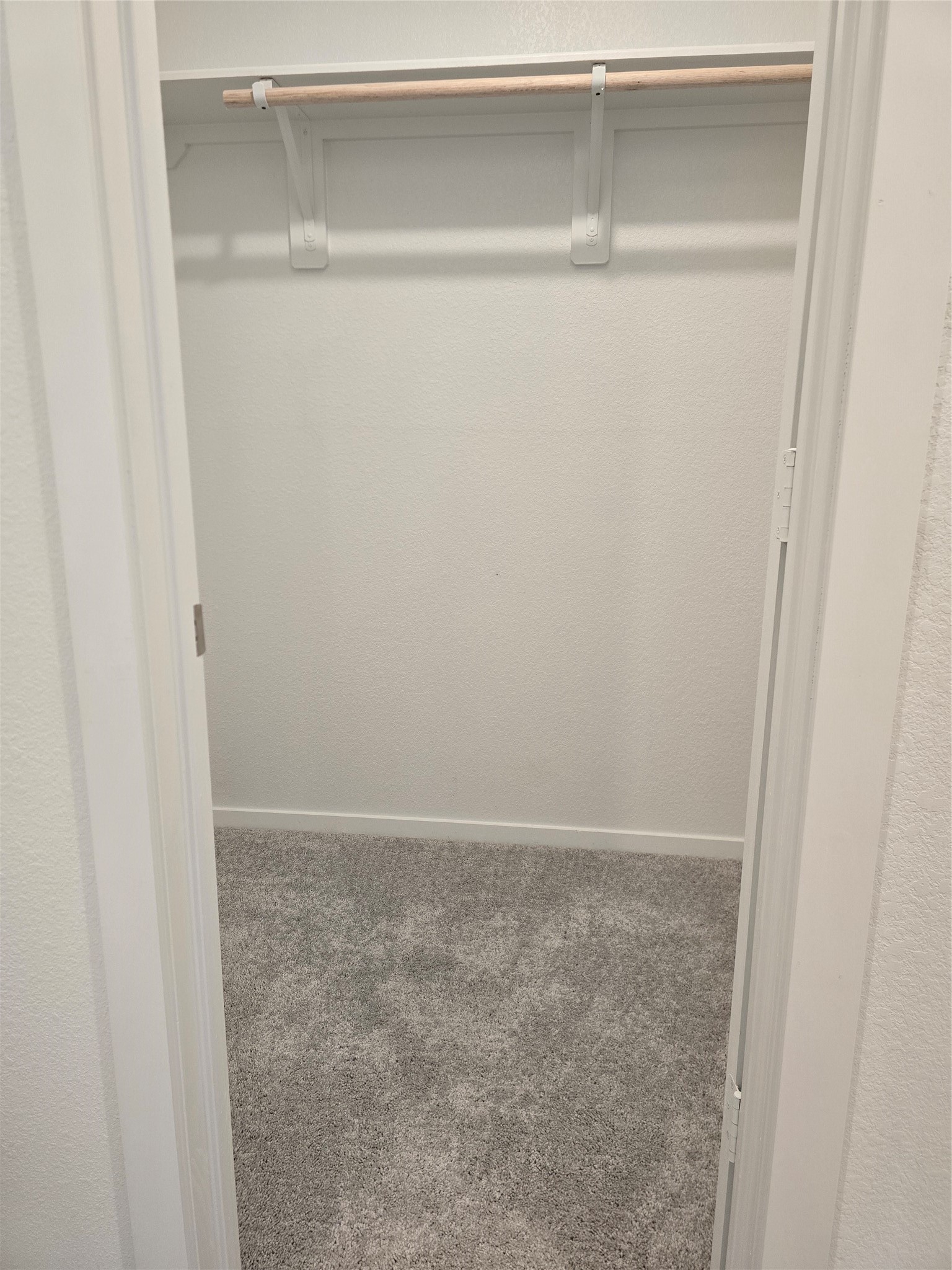25446 Carnation Court Property Photo 14
