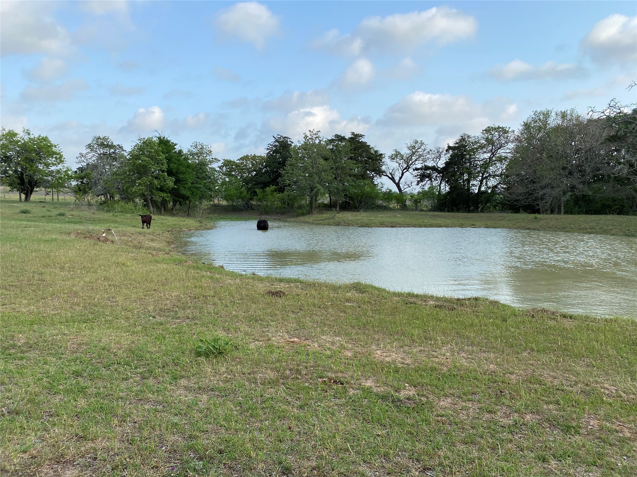2810 West Old Lockhart Road W Property Photo 10