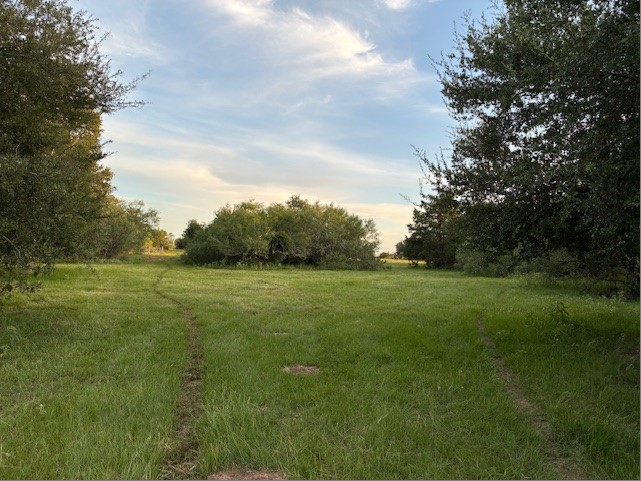 2810 West Old Lockhart Road W Property Photo 37