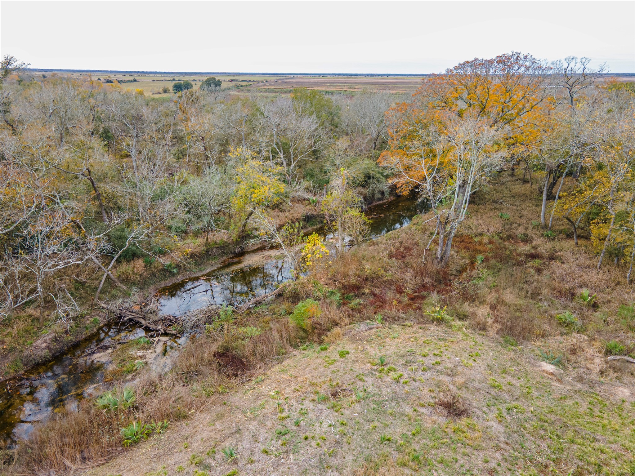 5491 County Road 209 Property Photo 17