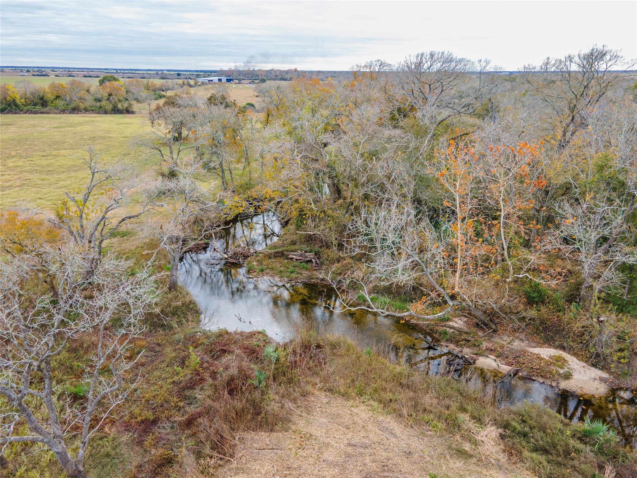 5491 County Road 209 Property Photo 18