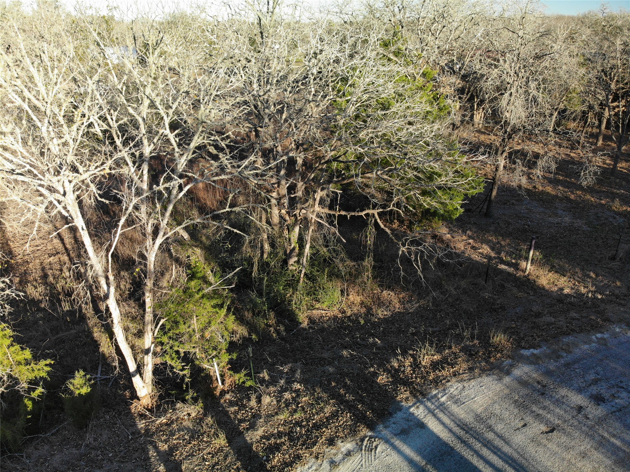 Lots 390 & 80 Hill Loop Road Property Photo 11
