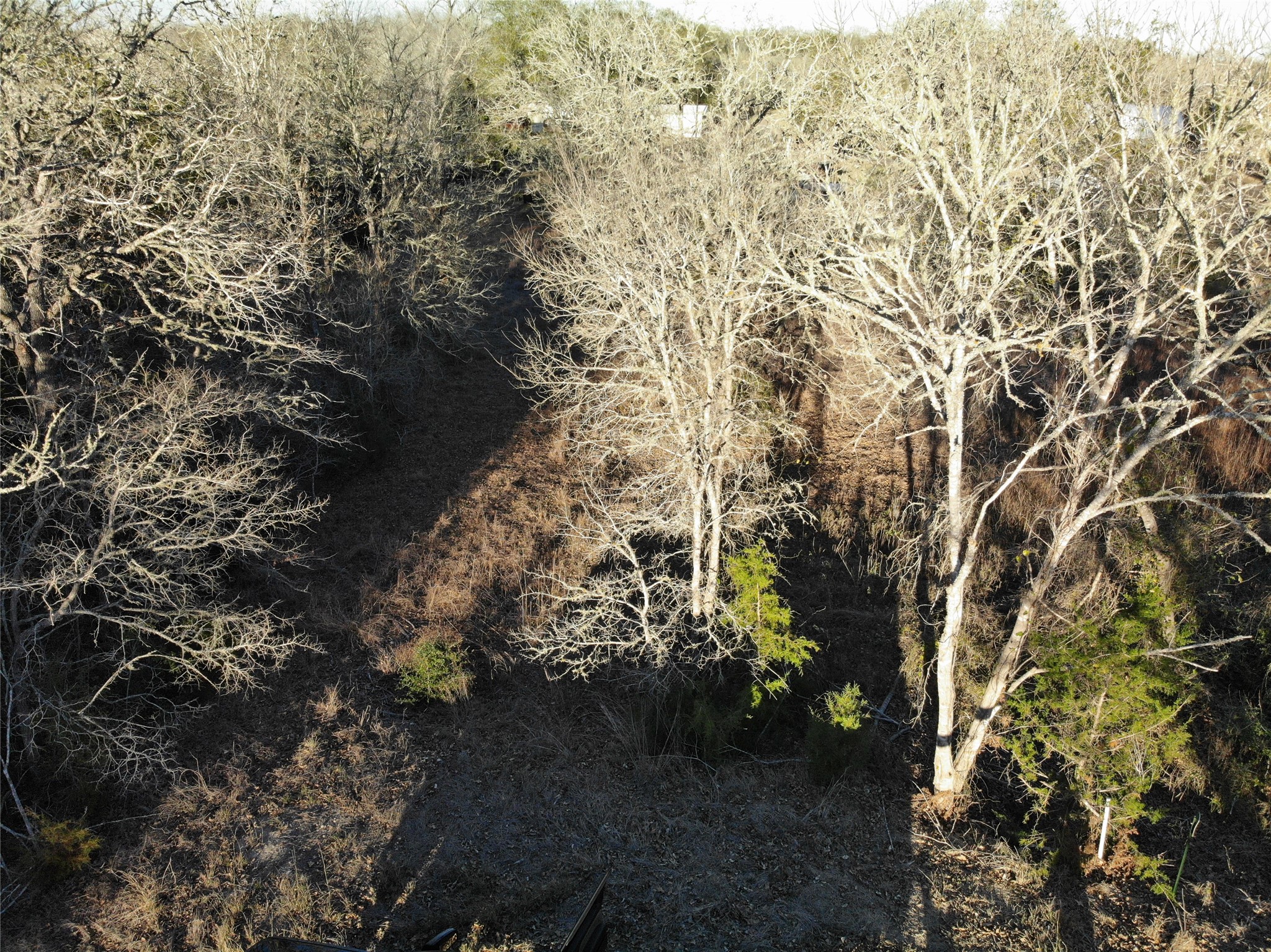 Lots 390 & 80 Hill Loop Road Property Photo 12