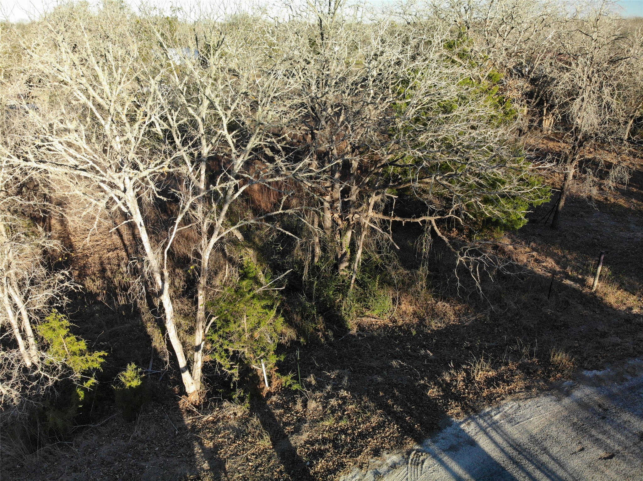 Lots 390 & 80 Hill Loop Road Property Photo 13