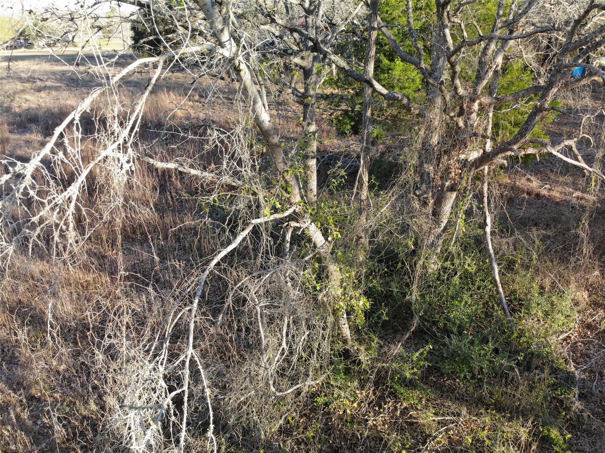 Lots 390 & 80 Hill Loop Road Property Photo 15