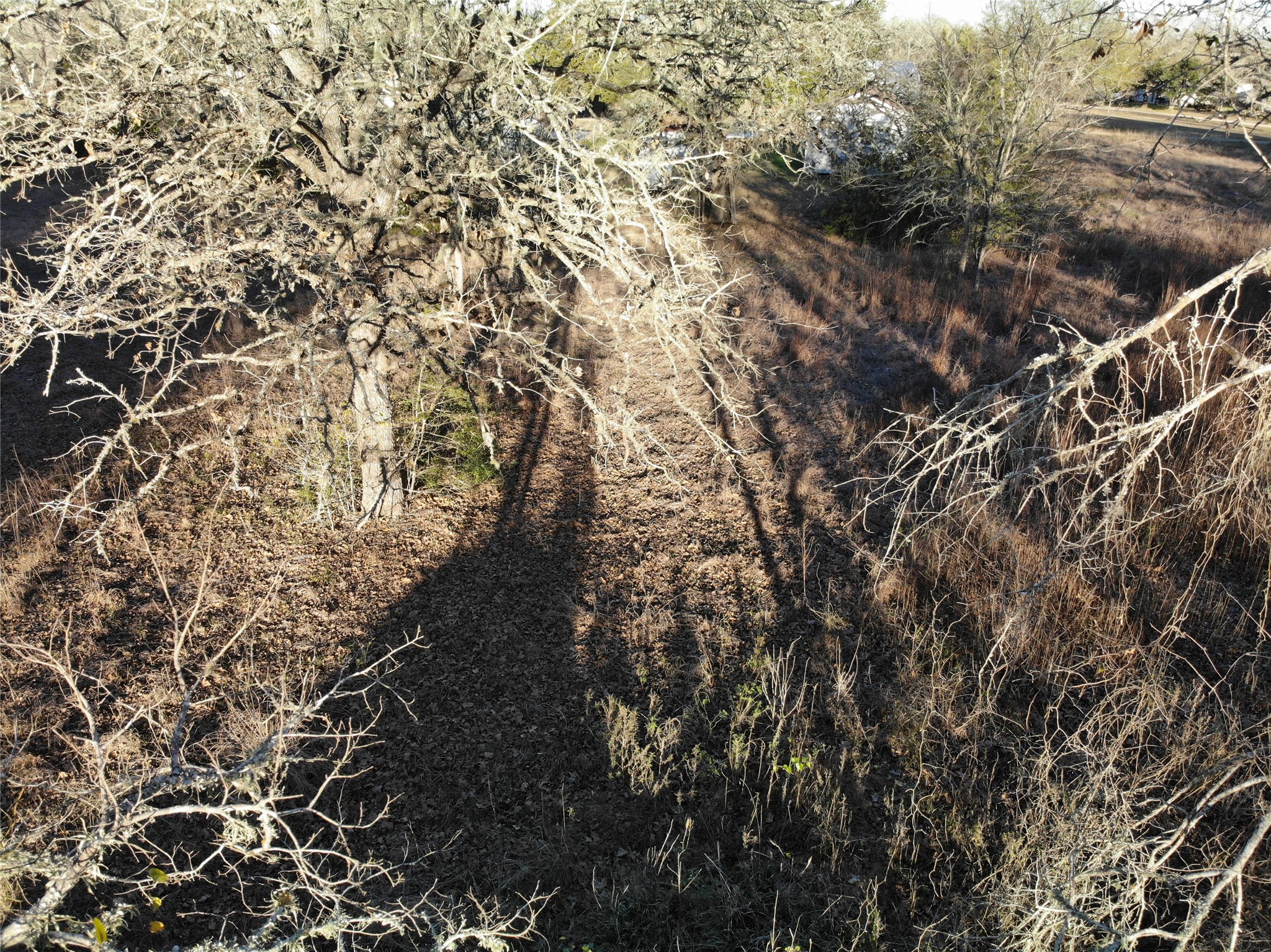 Lots 390 & 80 Hill Loop Road Property Photo 16