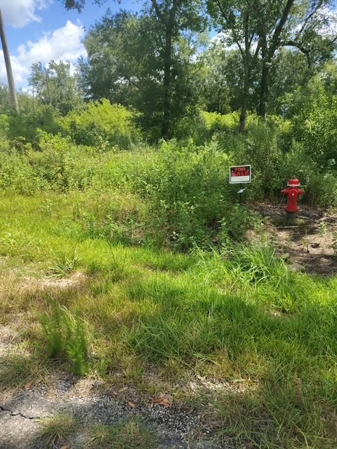 17895 Camellia Drive Property Photo 3
