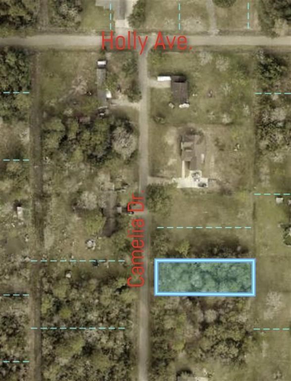 17895 Camellia Drive Property Photo 4