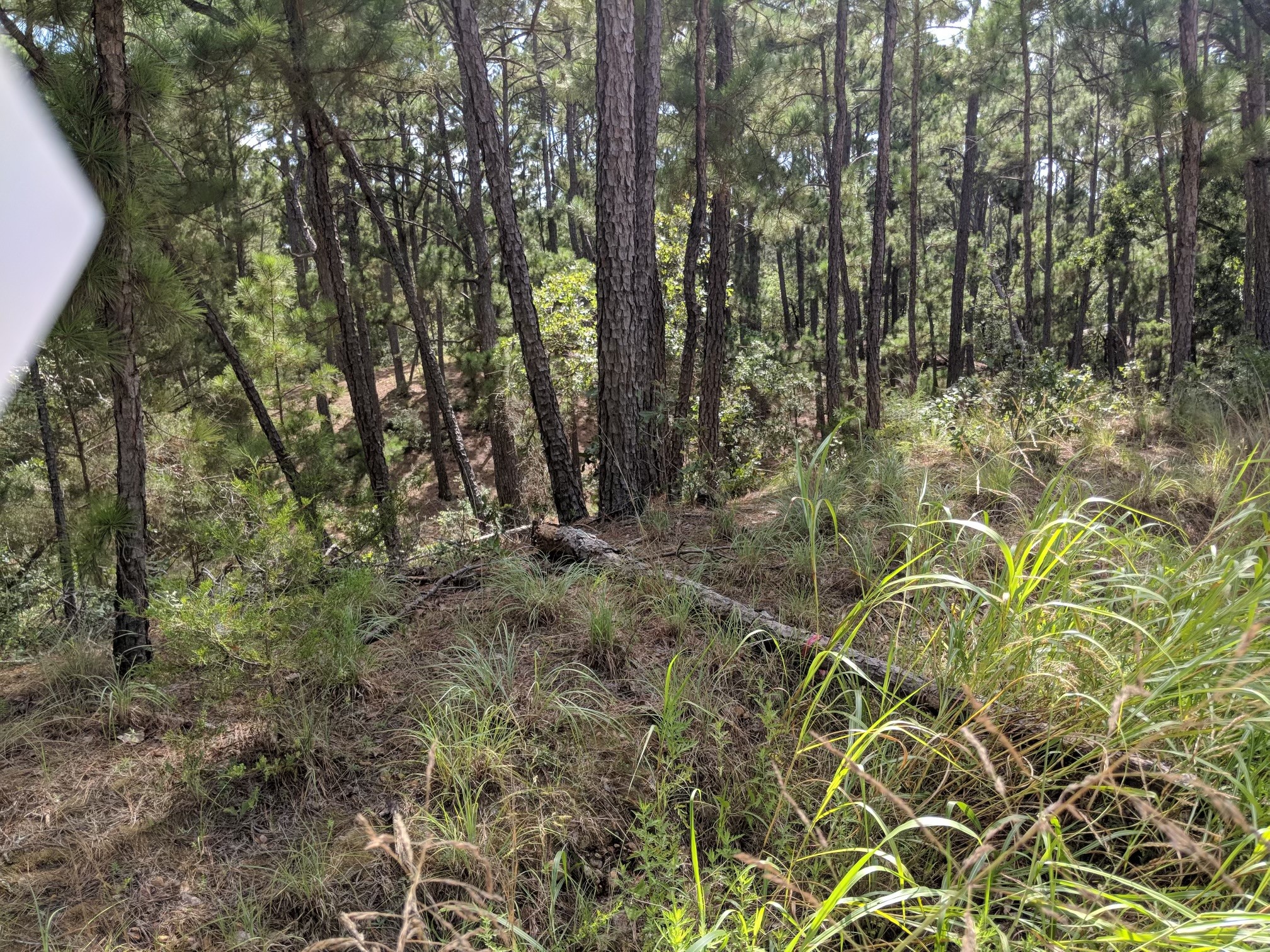 000 Wahane Or Koko Property Photo 3