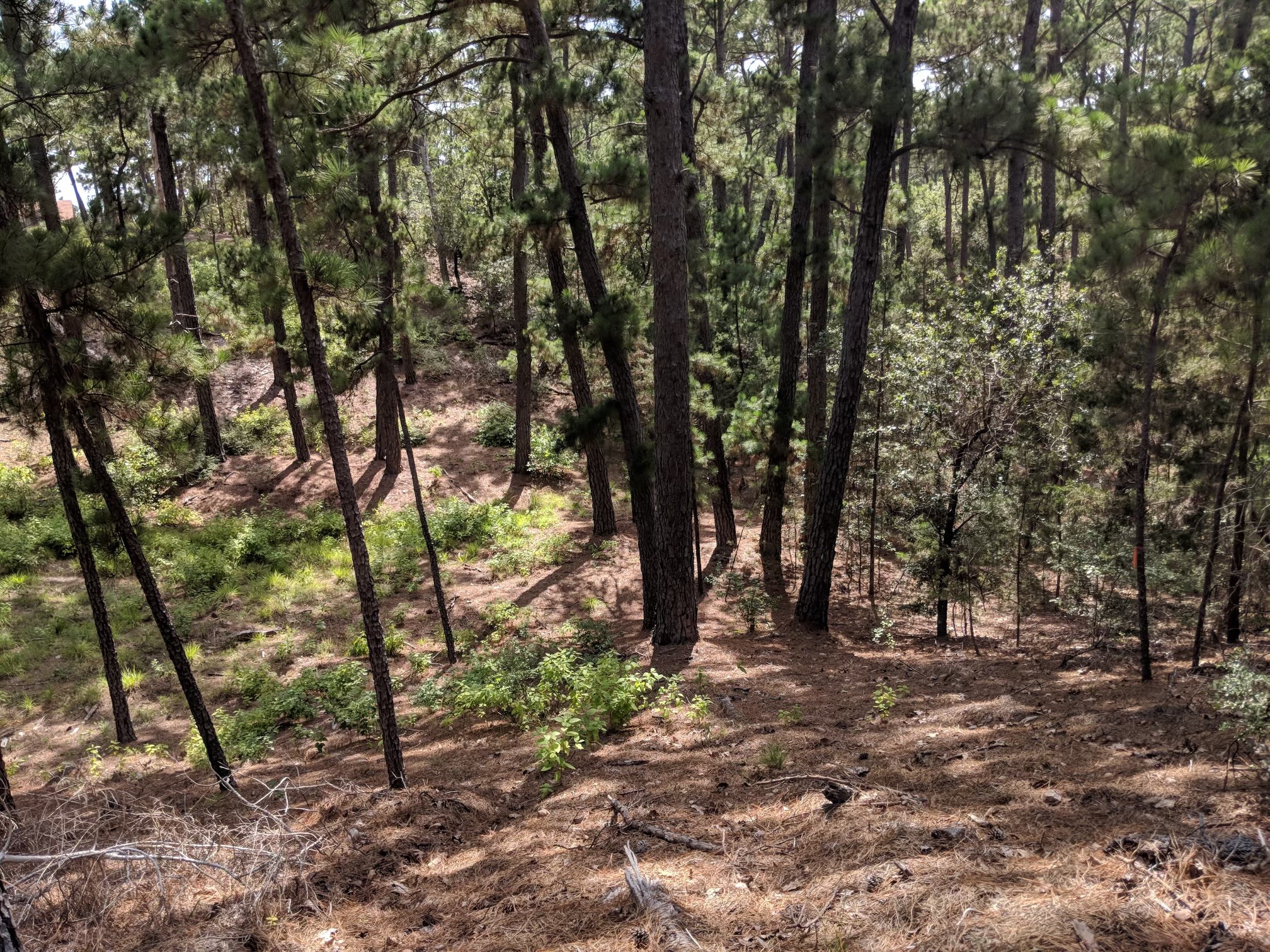 000 Wahane Or Koko Property Photo 4