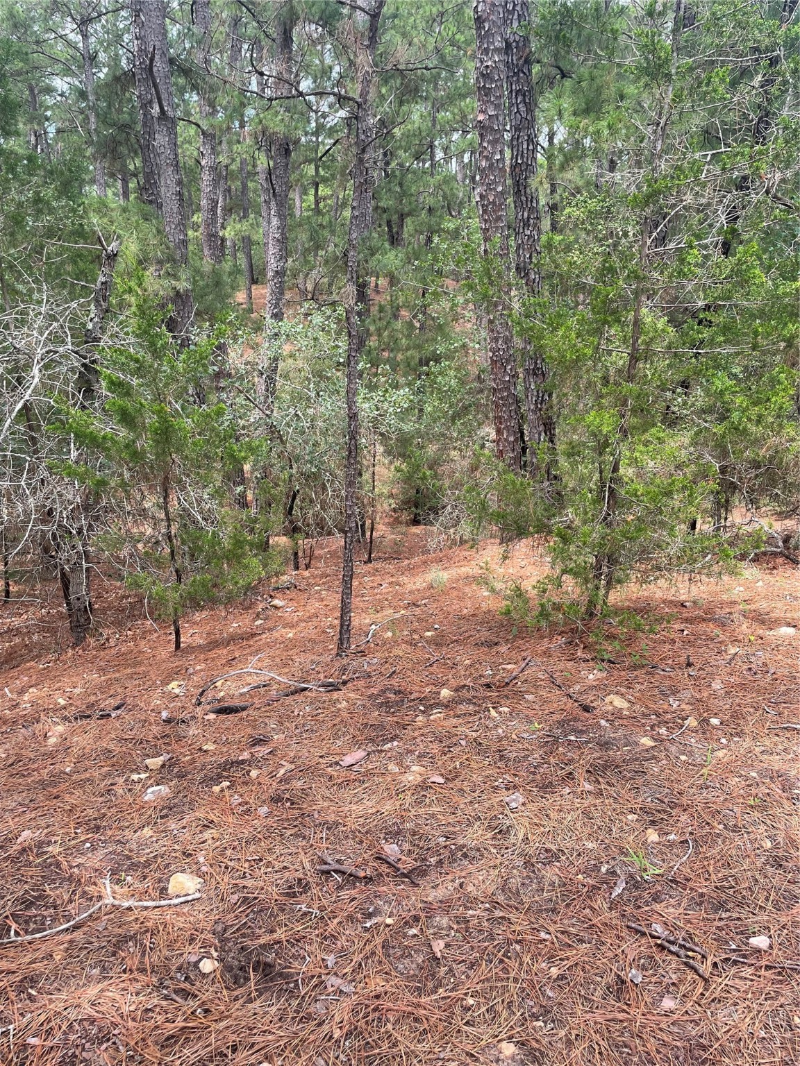 000 Wahane Or Koko Property Photo 12