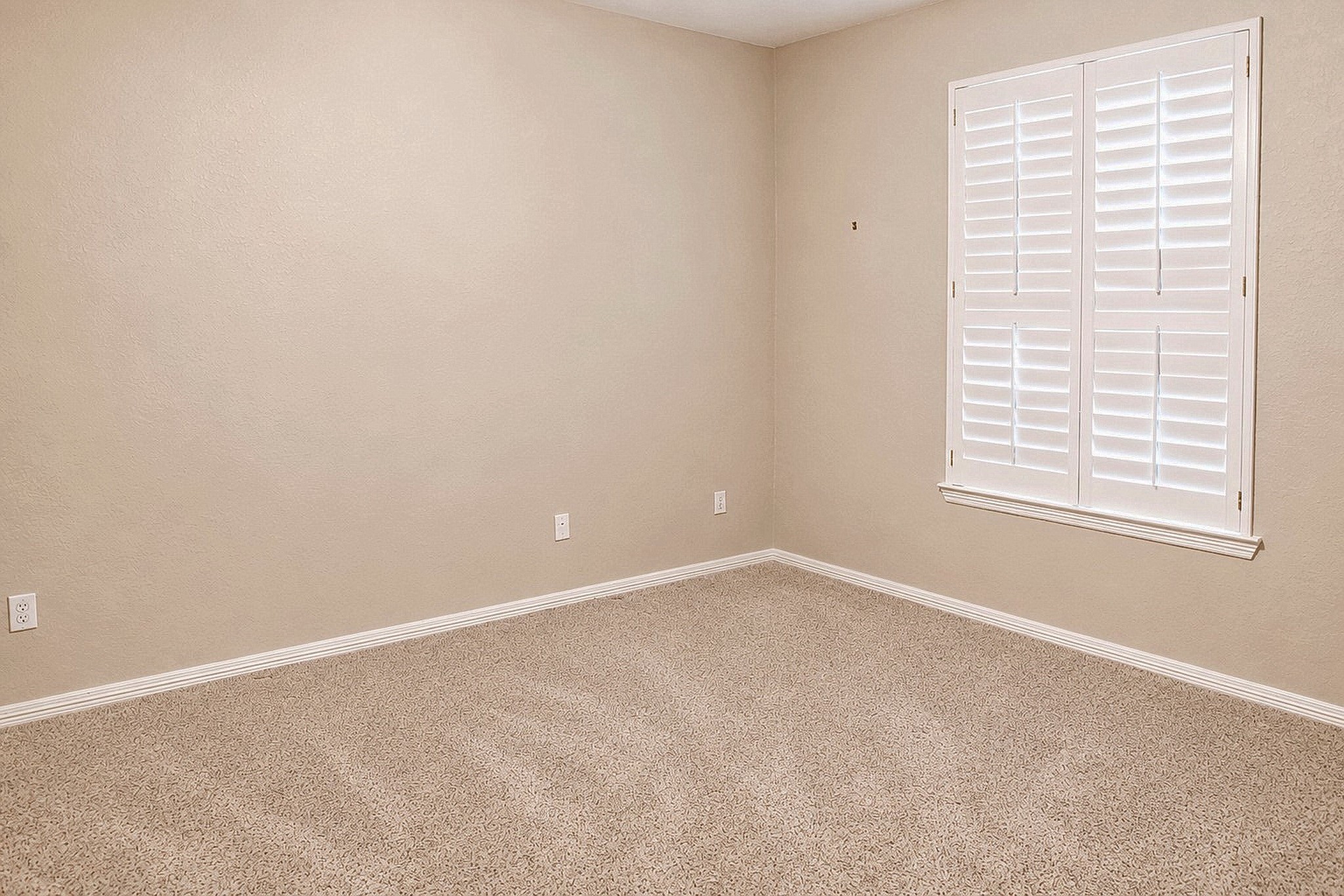 16415 Burham Park Drive Property Photo 32