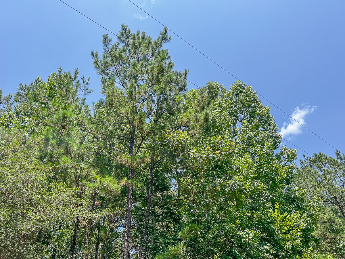 05 Cr 364e Property Photo 3