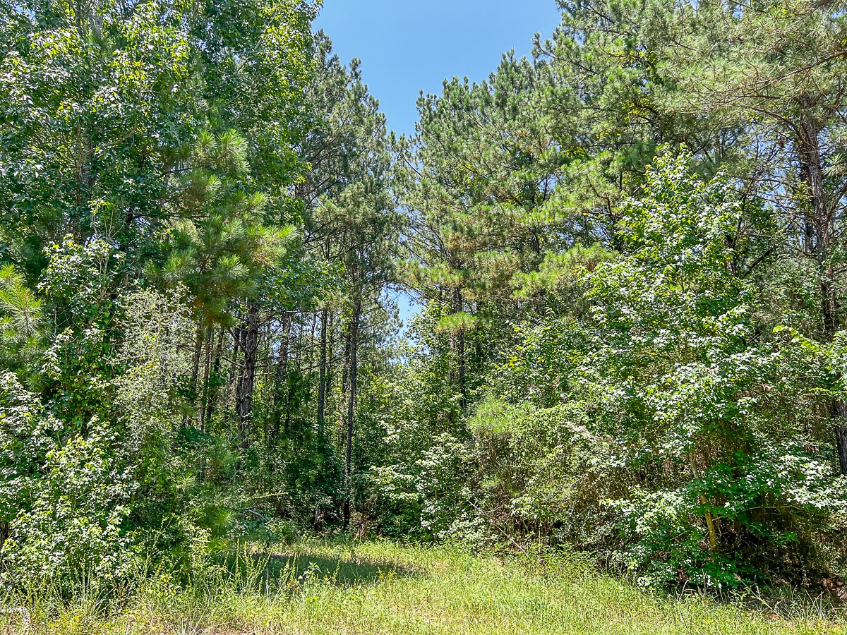 05 Cr 364e Property Photo 6