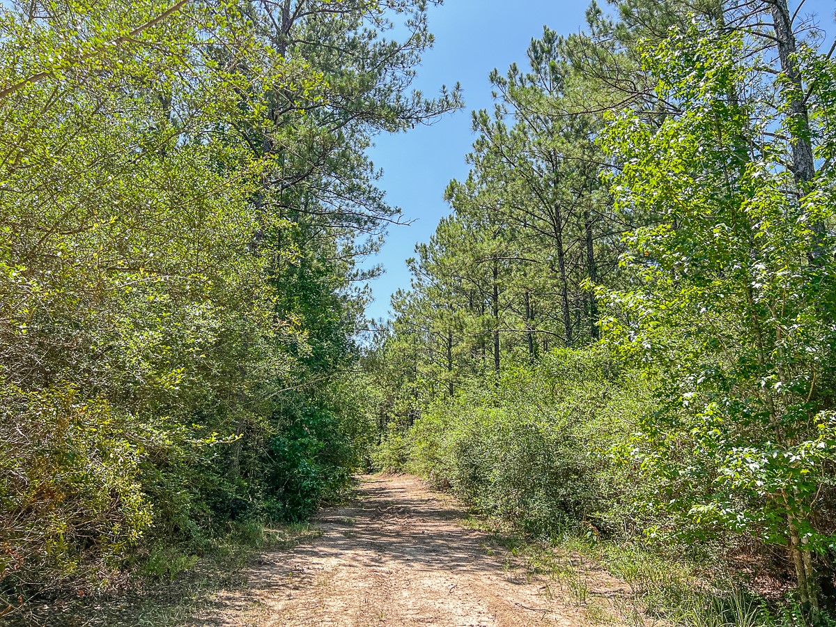 05 Cr 364e Property Photo 9