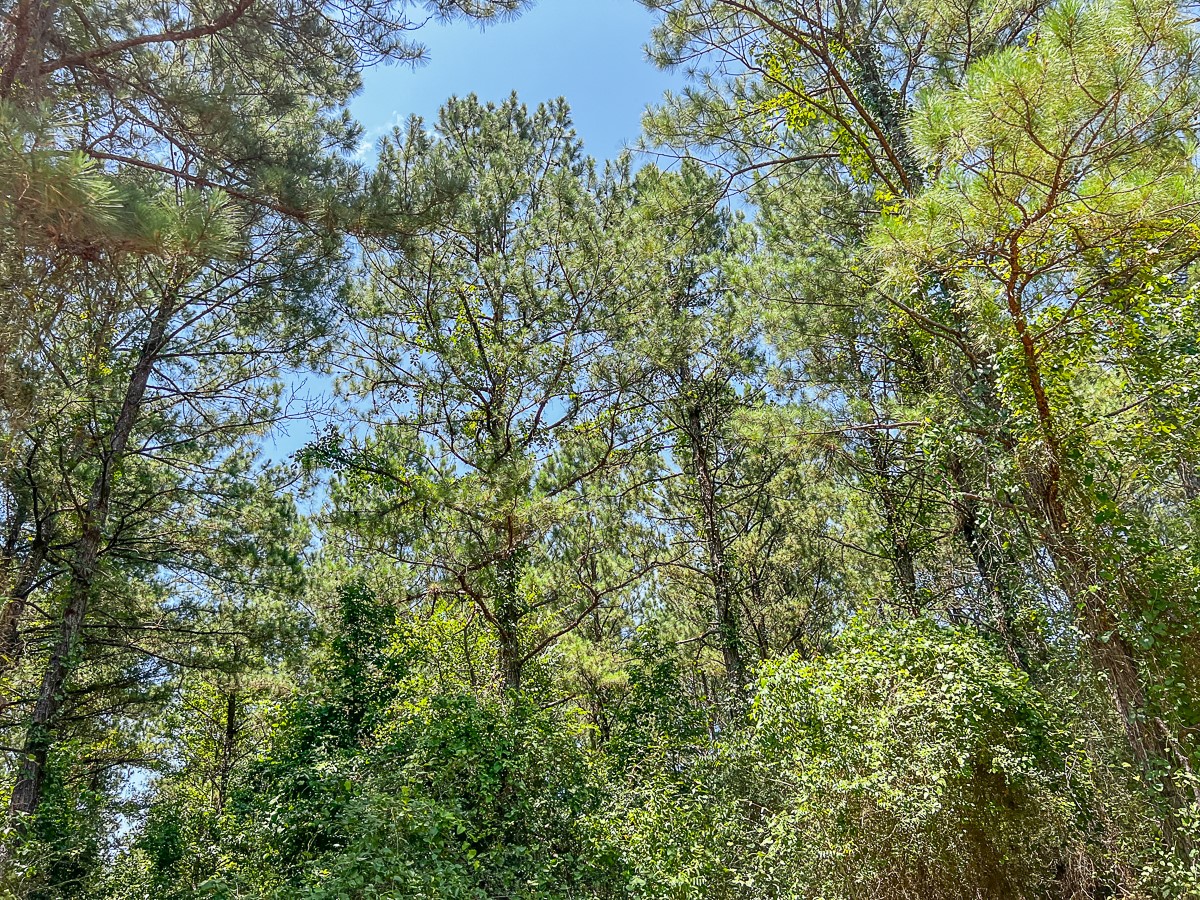 05 Cr 364e Property Photo 11