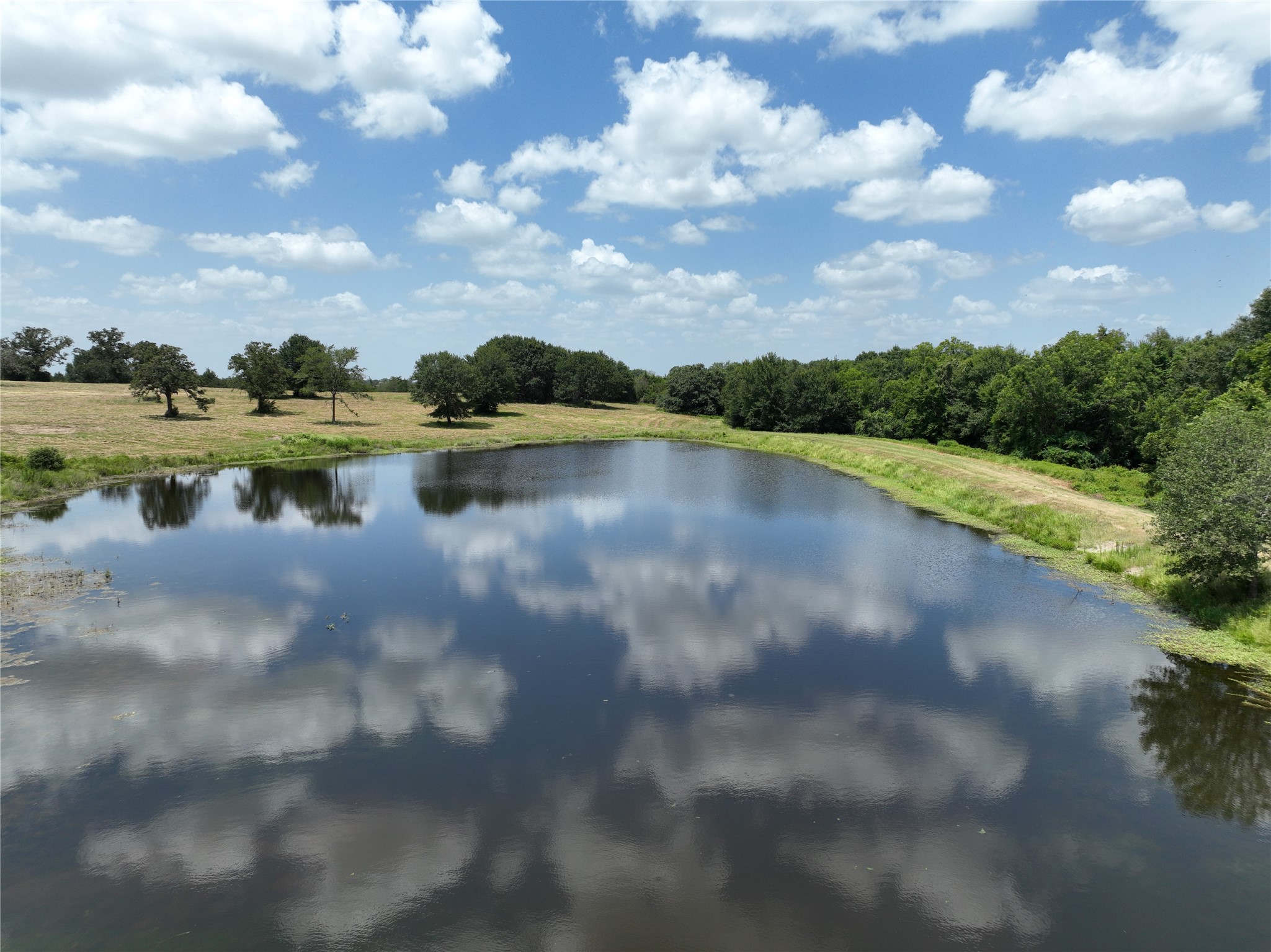 7157 Fm 1697 Property Photo 43