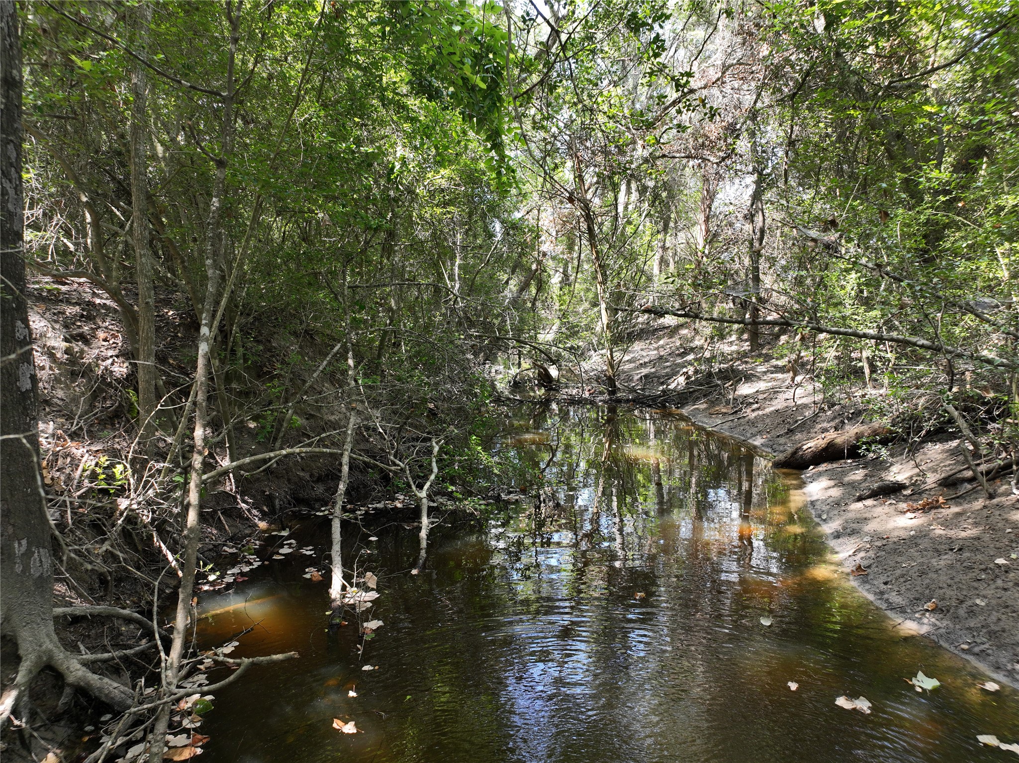 7157 Fm 1697 Property Photo 44