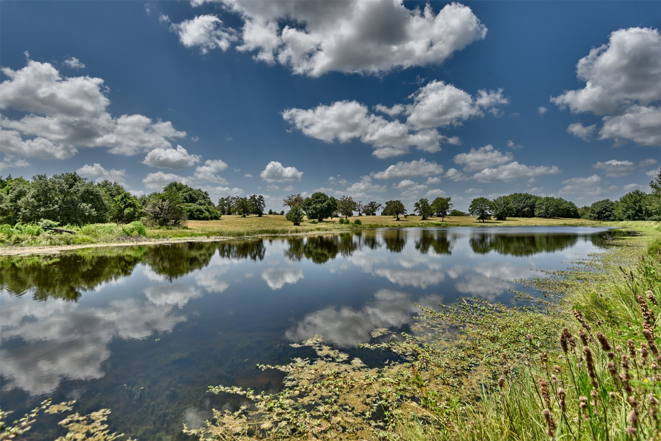 7157 Fm 1697 Property Photo 45