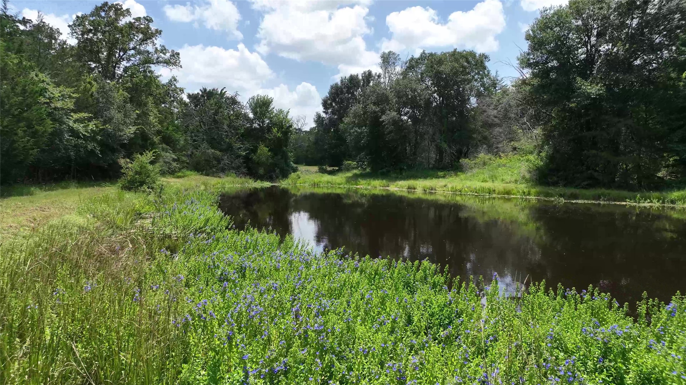 7157 Fm 1697 Property Photo 46