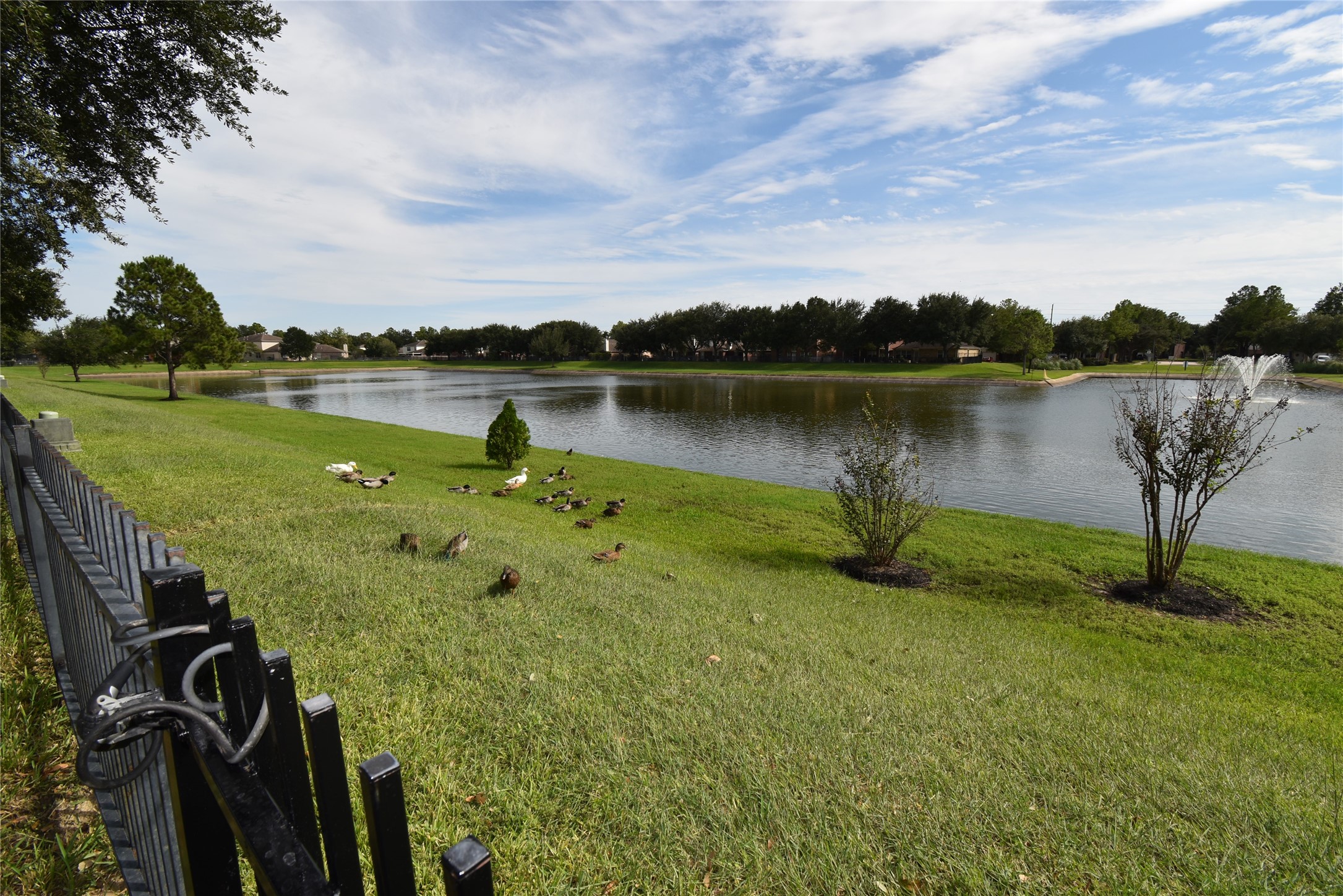 17611 Hoover Gardens Drive Property Photo 40