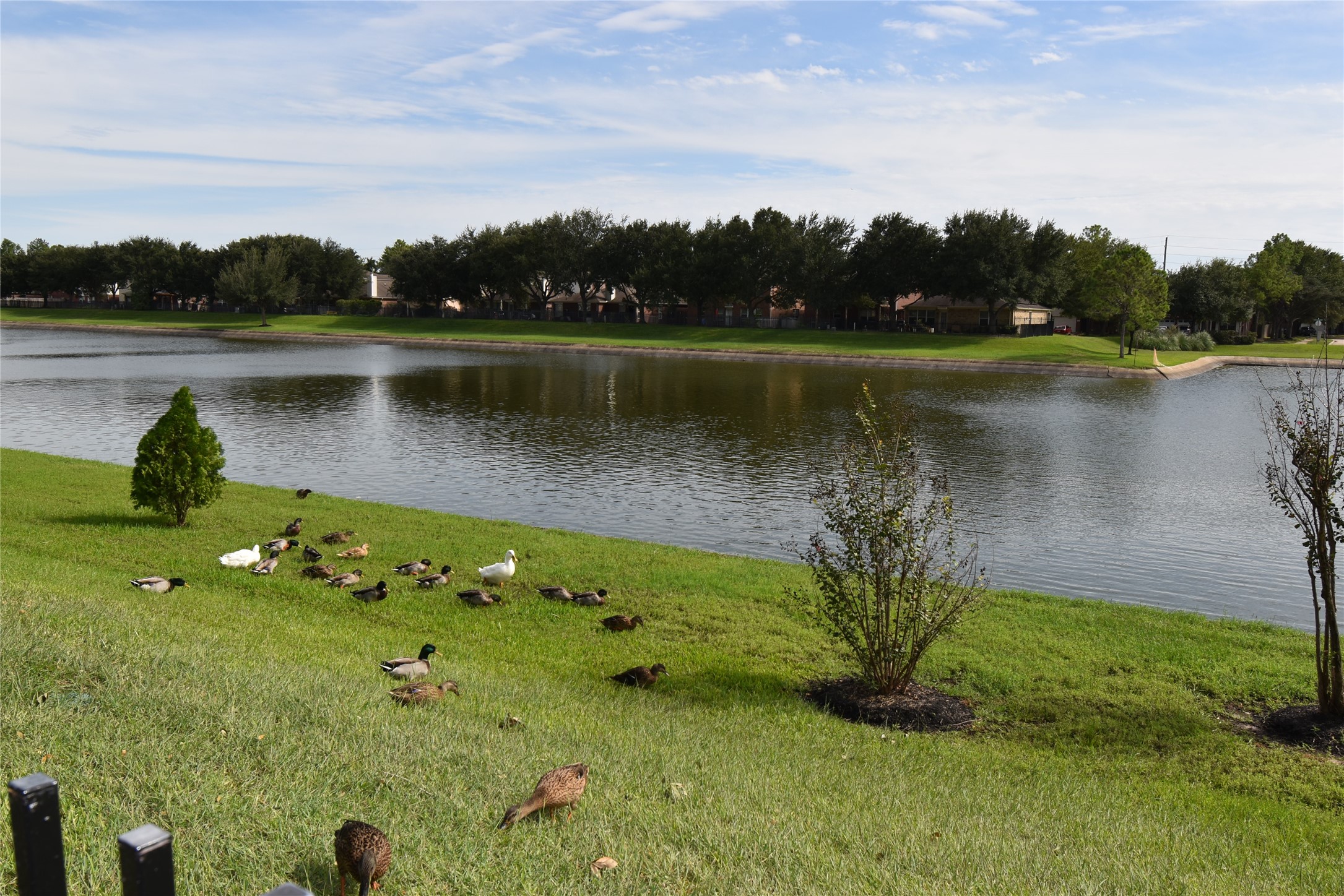 17611 Hoover Gardens Drive Property Photo 41