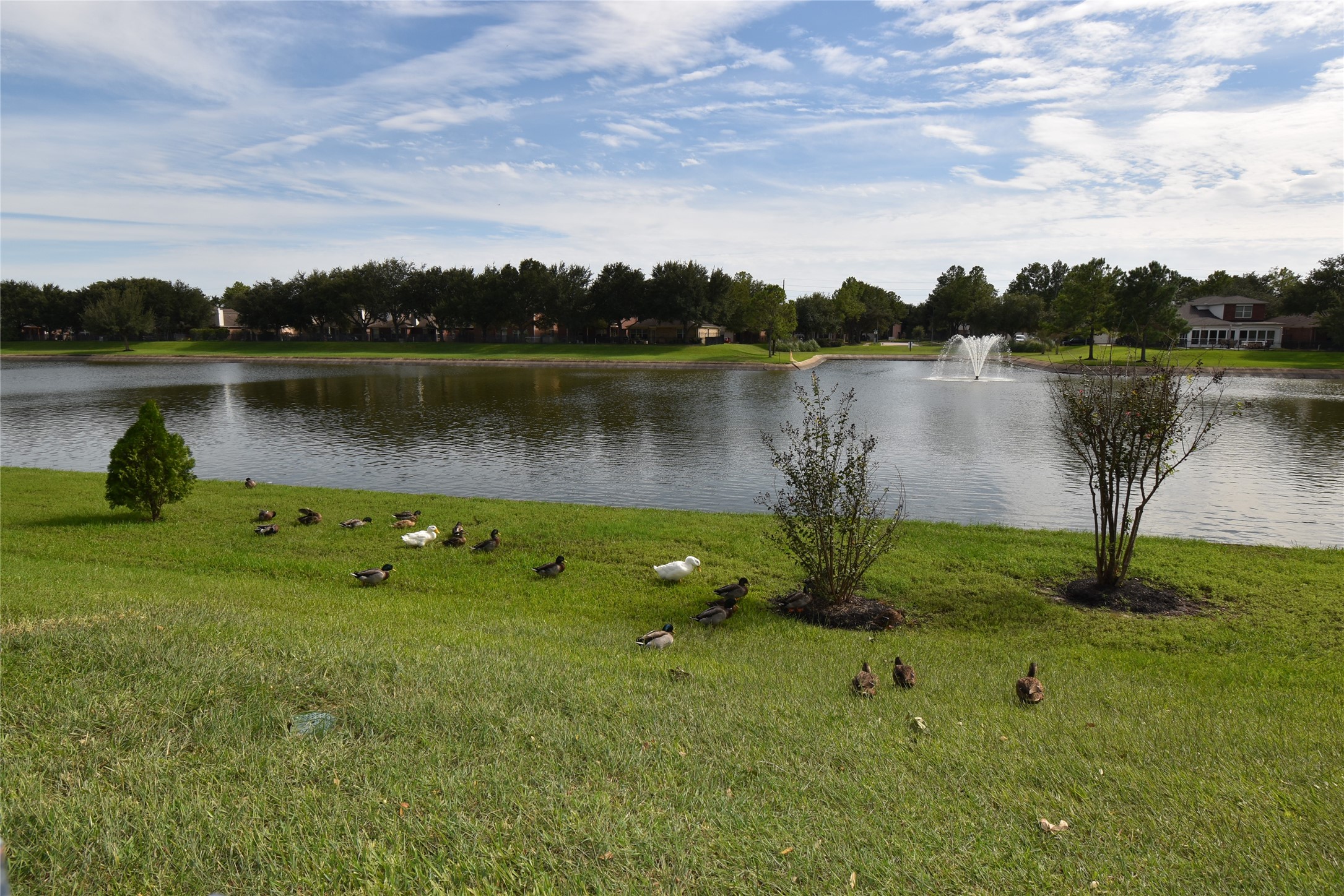 17611 Hoover Gardens Drive Property Photo 42