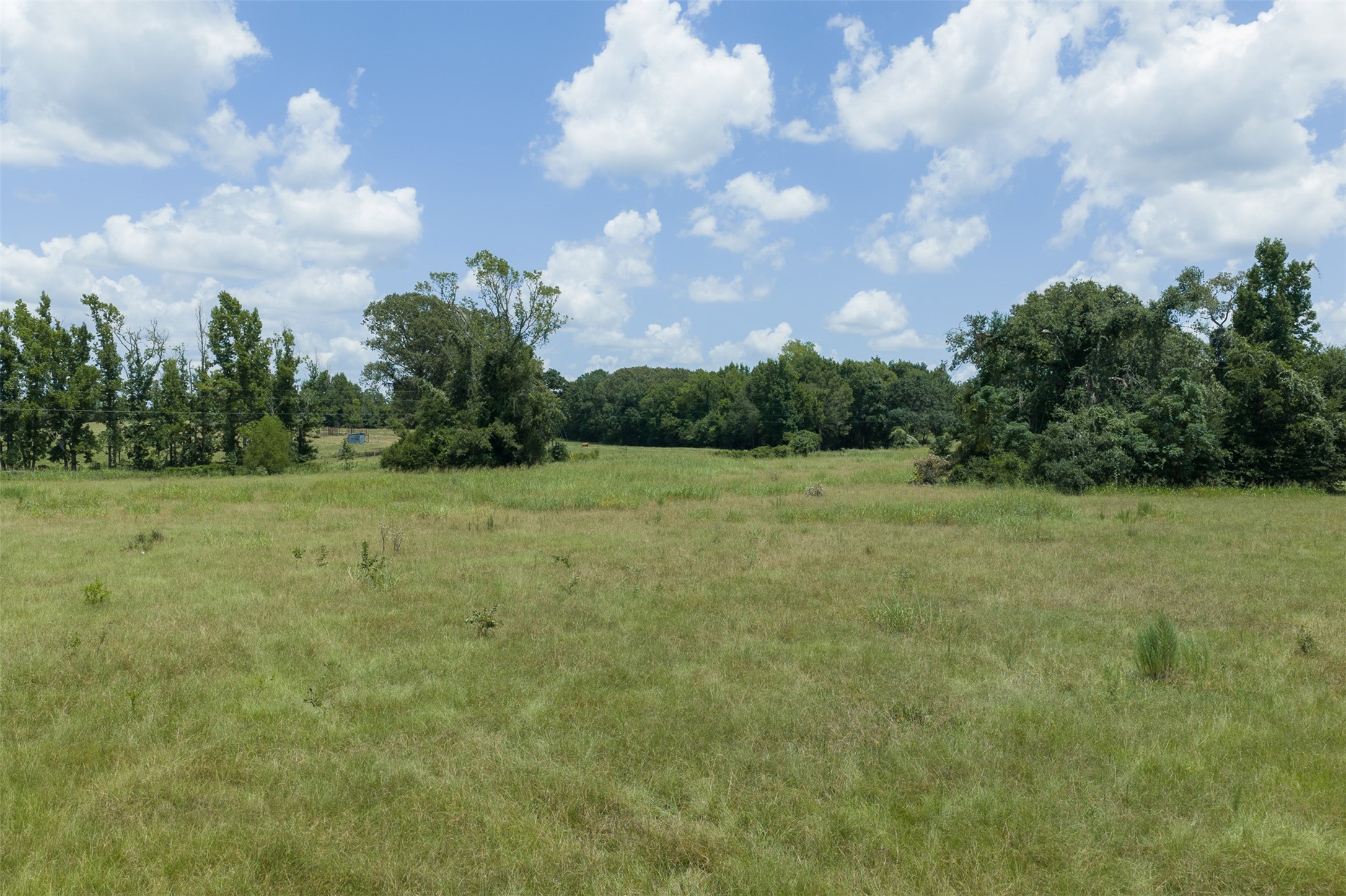 1852 County Road 202 Property Photo 30