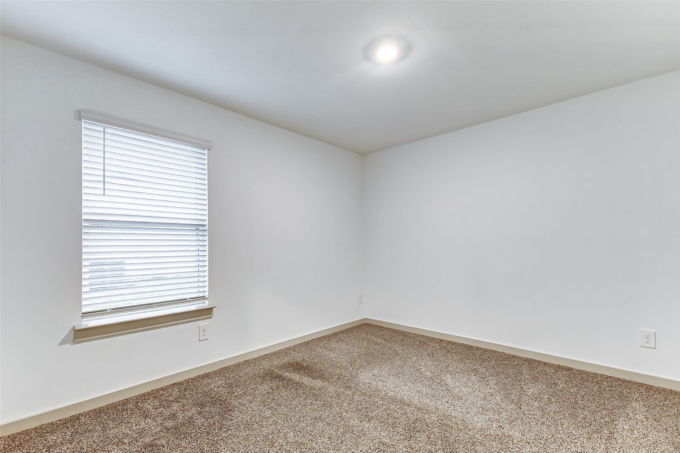 7007 Sunbreeze Lane Property Photo 16