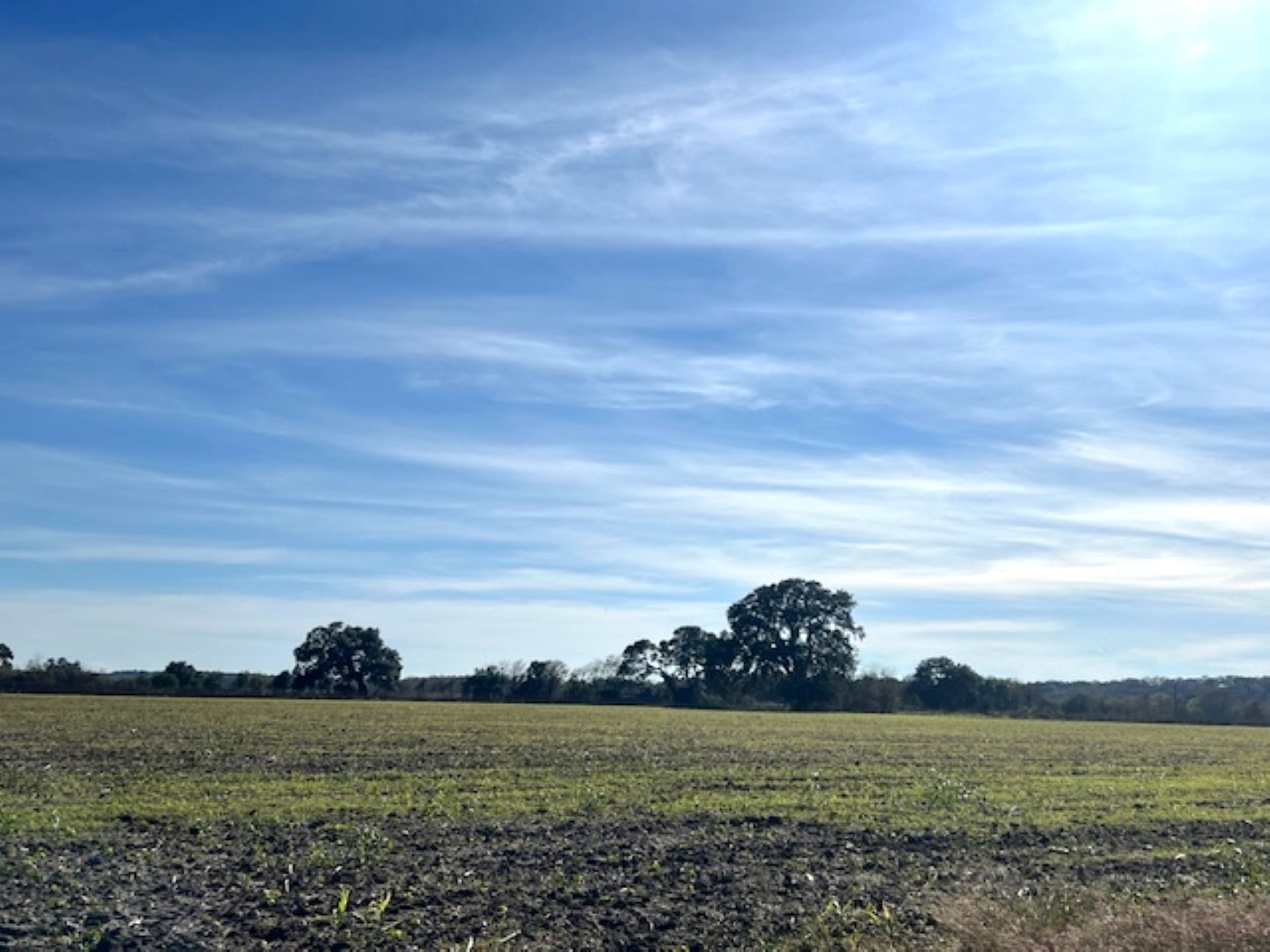 28 Acres Shaws Bend Road Property Photo 2