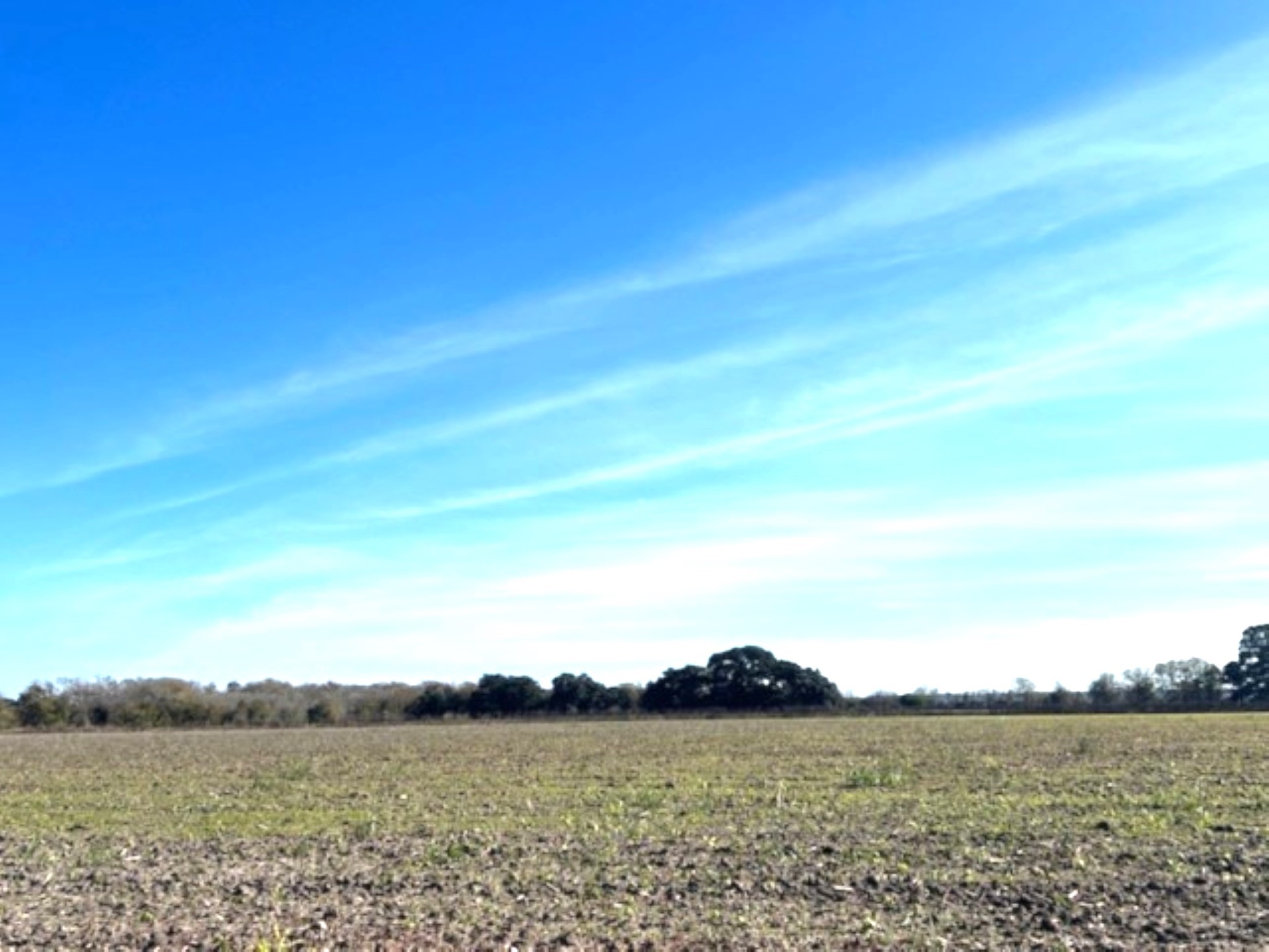 28 Acres Shaws Bend Road Property Photo 3