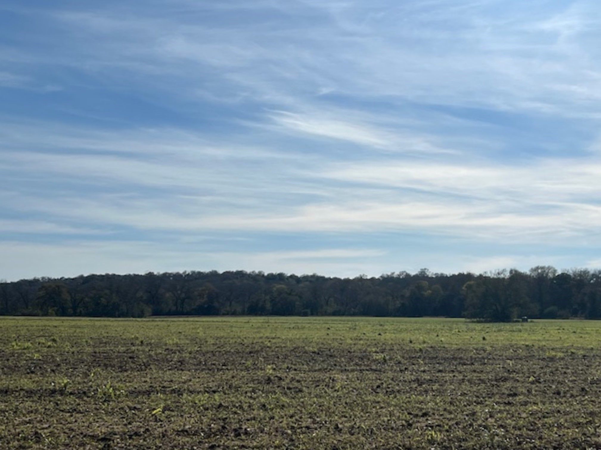 28 Acres Shaws Bend Road Property Photo 4