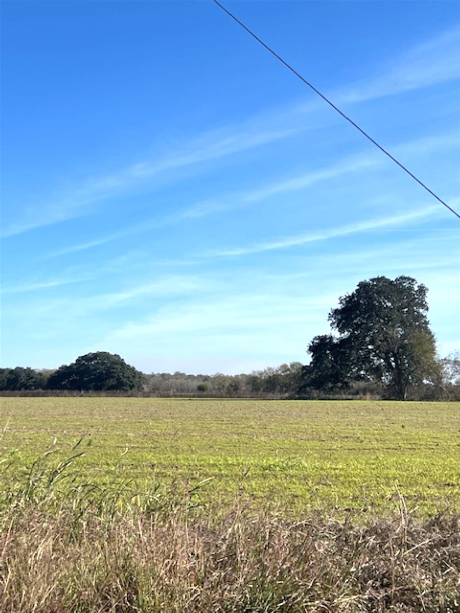 28 Acres Shaws Bend Road Property Photo 5
