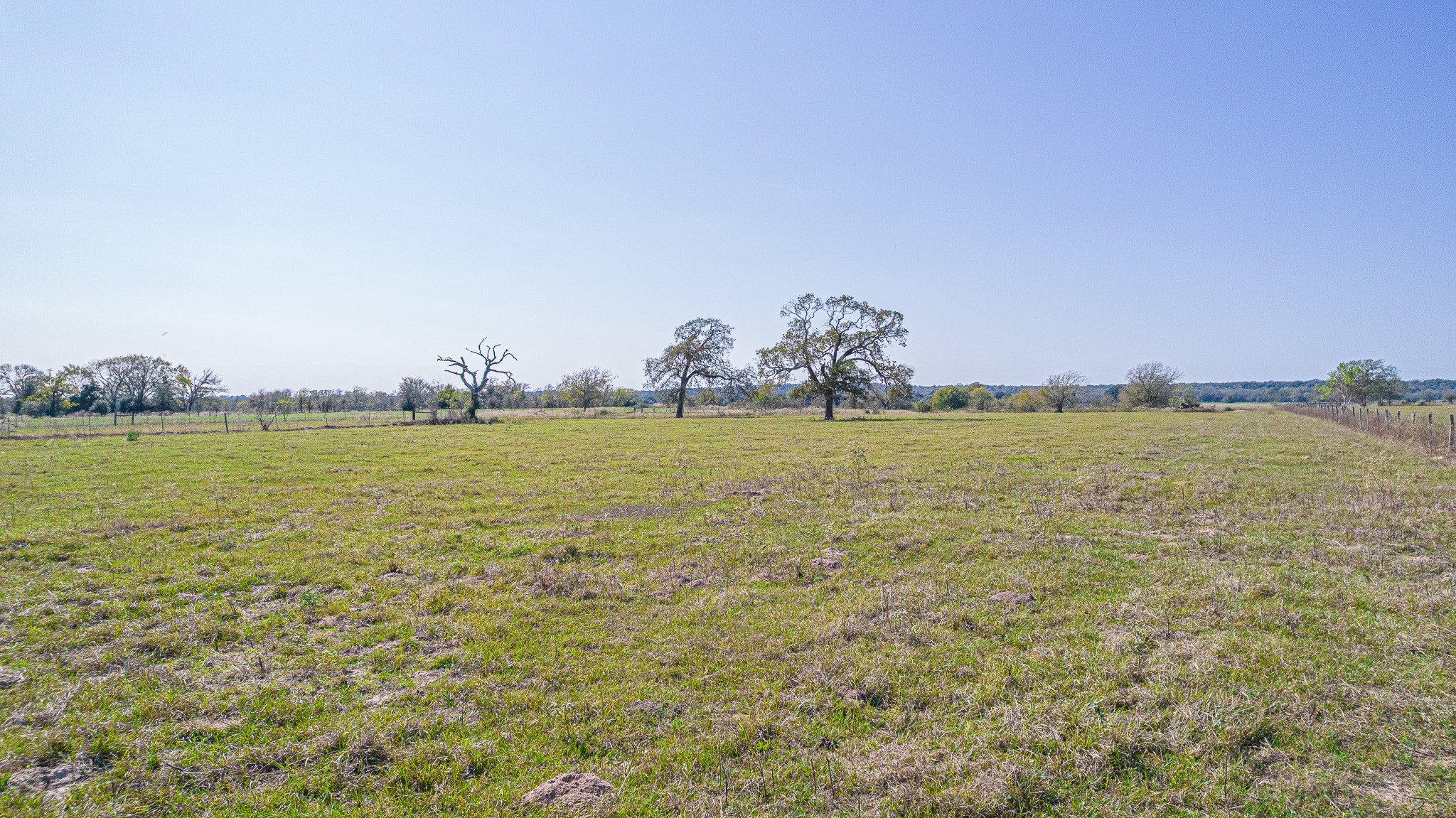 28 Acres Shaws Bend Road Property Photo 8