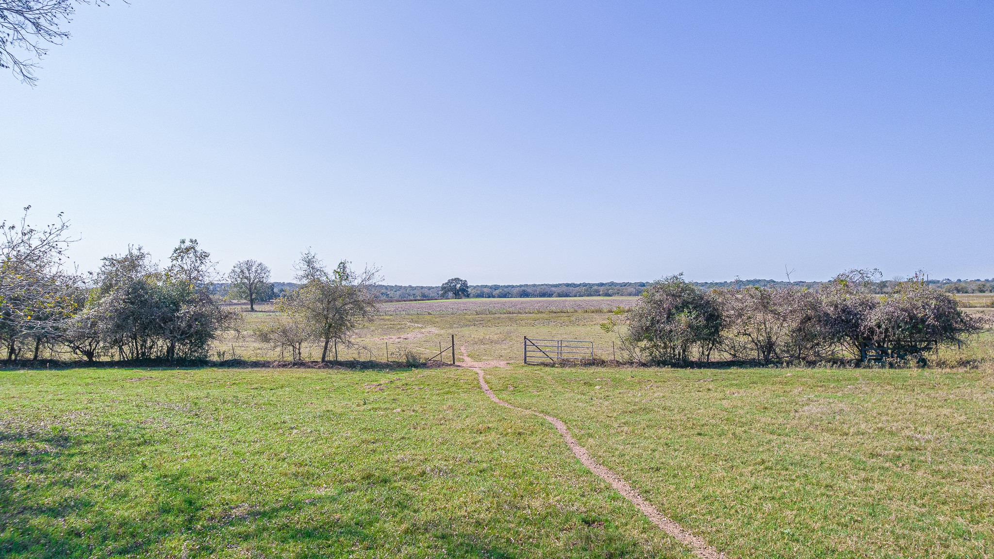 28 Acres Shaws Bend Road Property Photo 9
