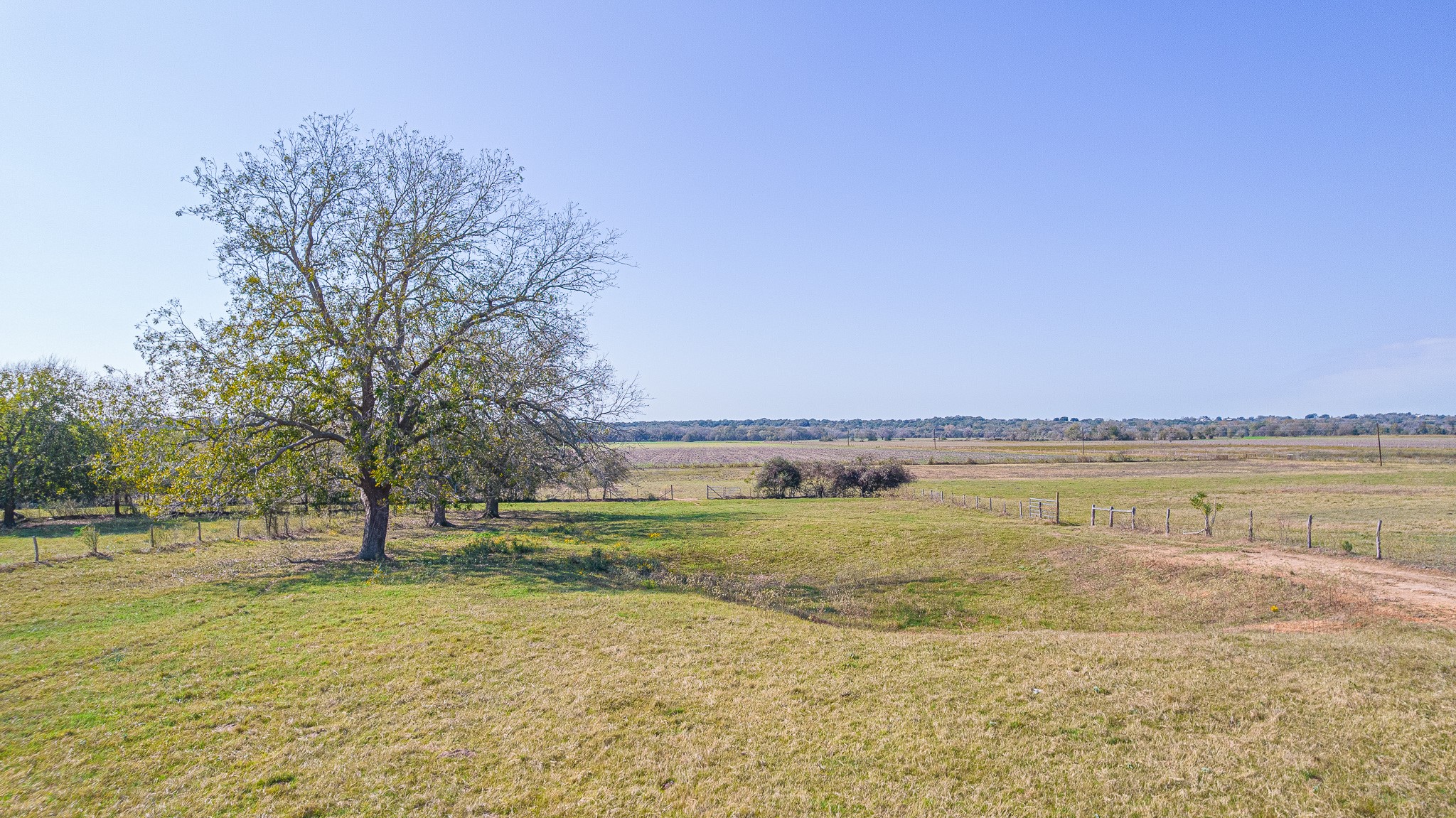 28 Acres Shaws Bend Road Property Photo 21