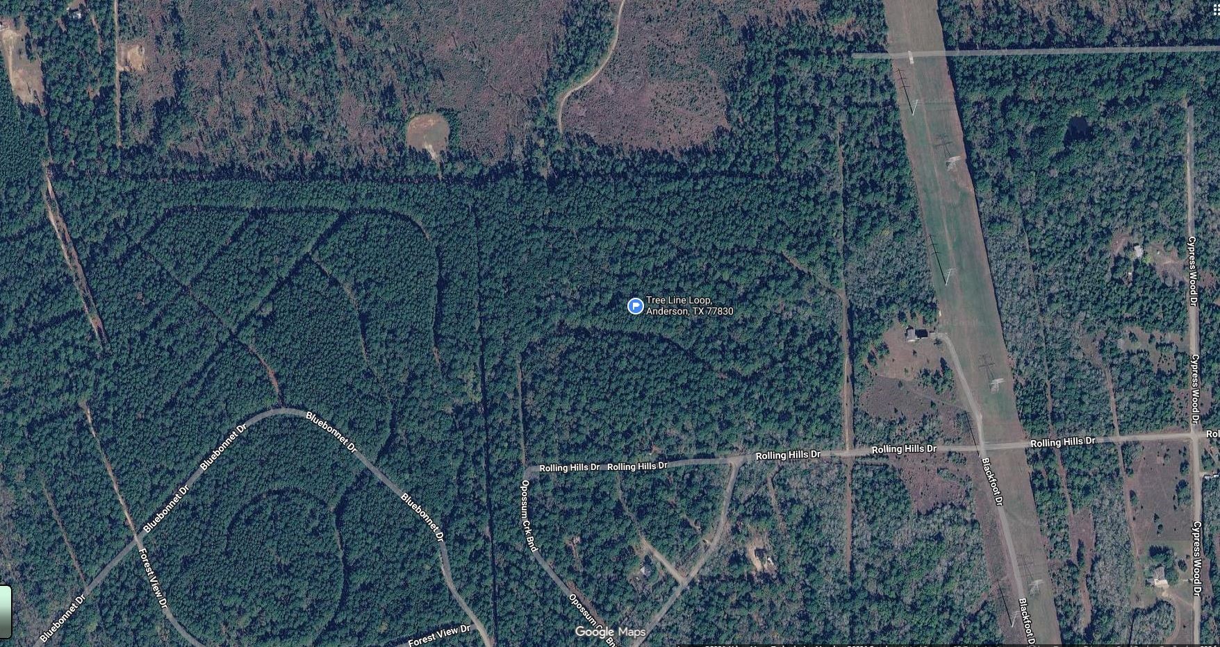 Tbd Tree Line Loop Property Photo 3
