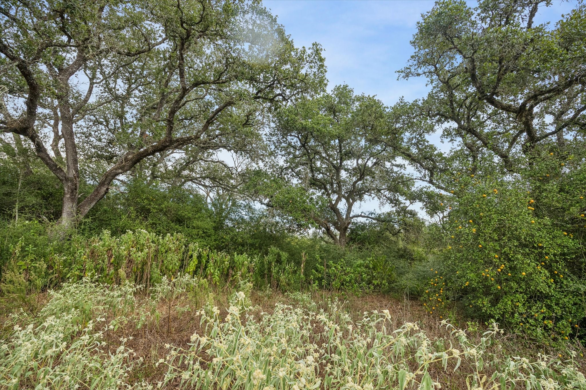 000 Shorebird Lane Property Photo 3