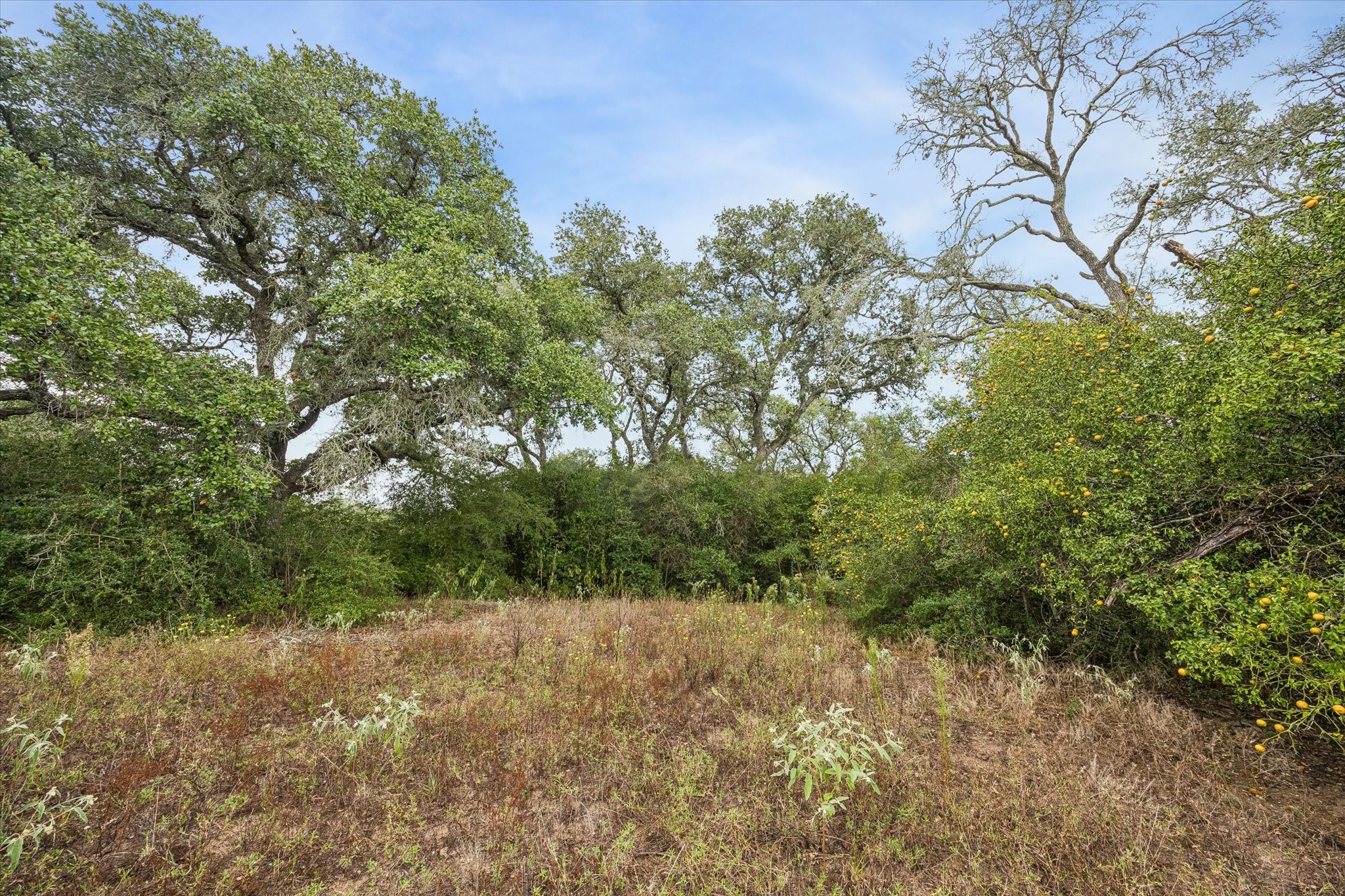 000 Shorebird Lane Property Photo 4