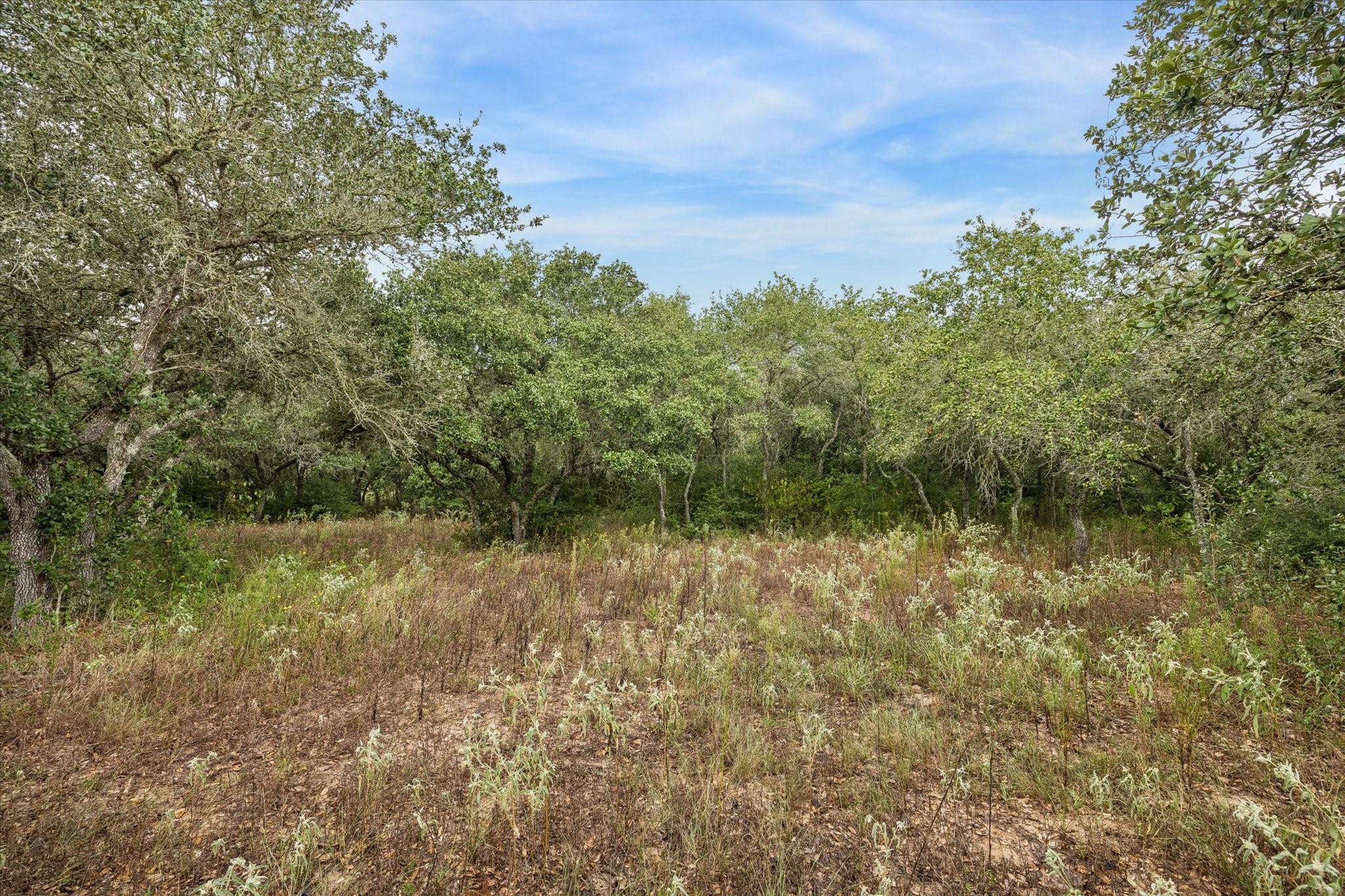 000 Shorebird Lane Property Photo 9