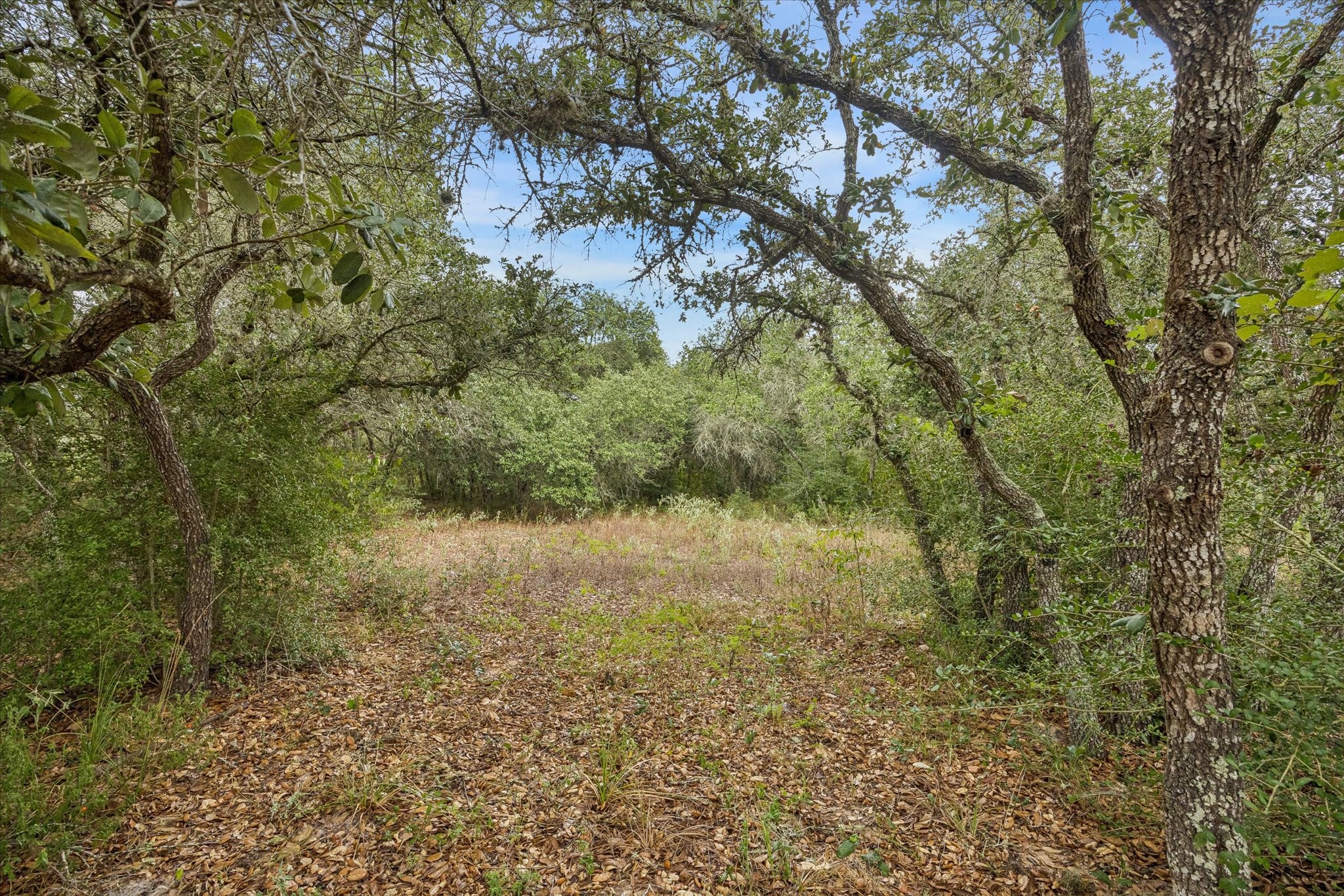 000 Shorebird Lane Property Photo 10