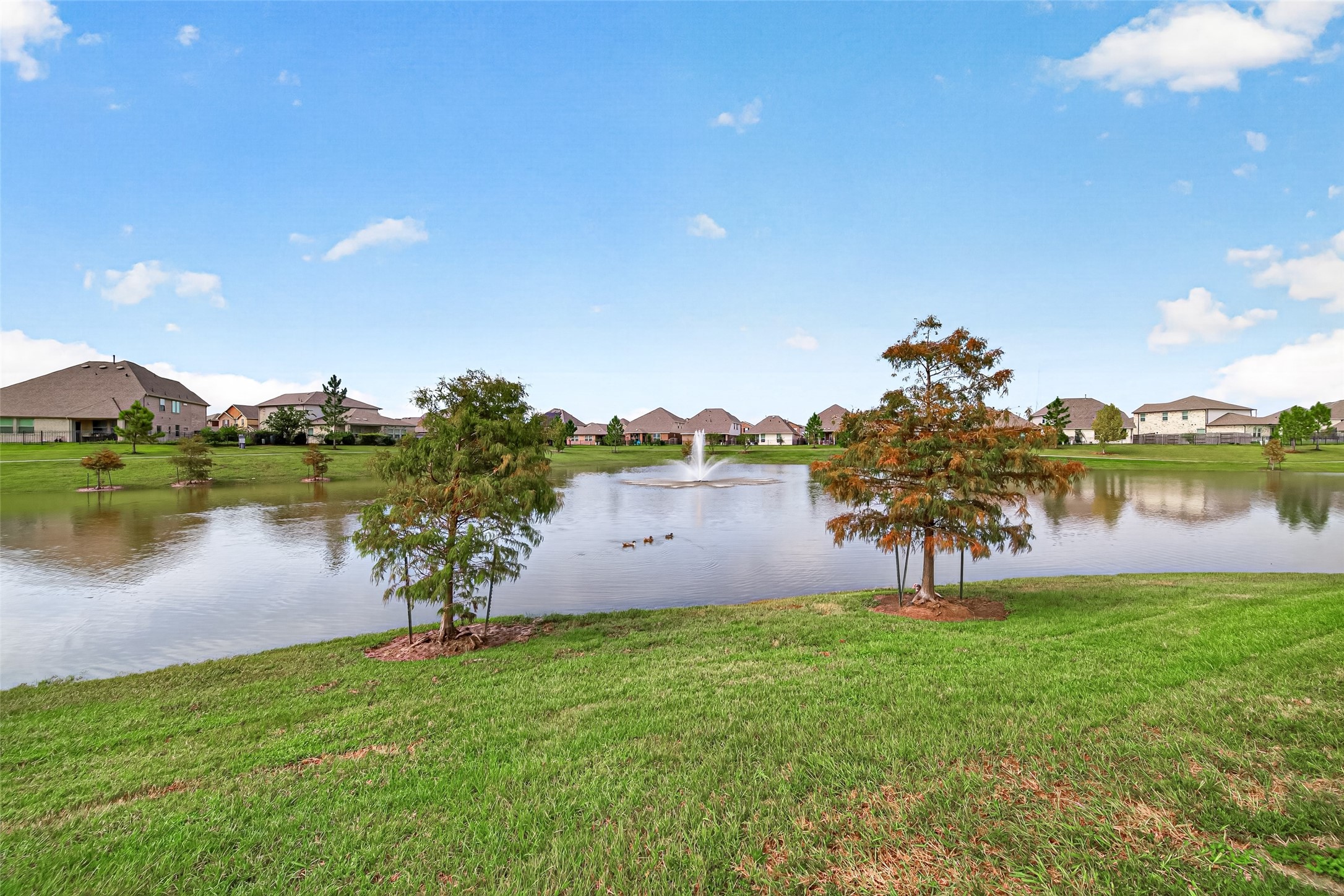 4403 Silvergrass Lane Property Photo 47