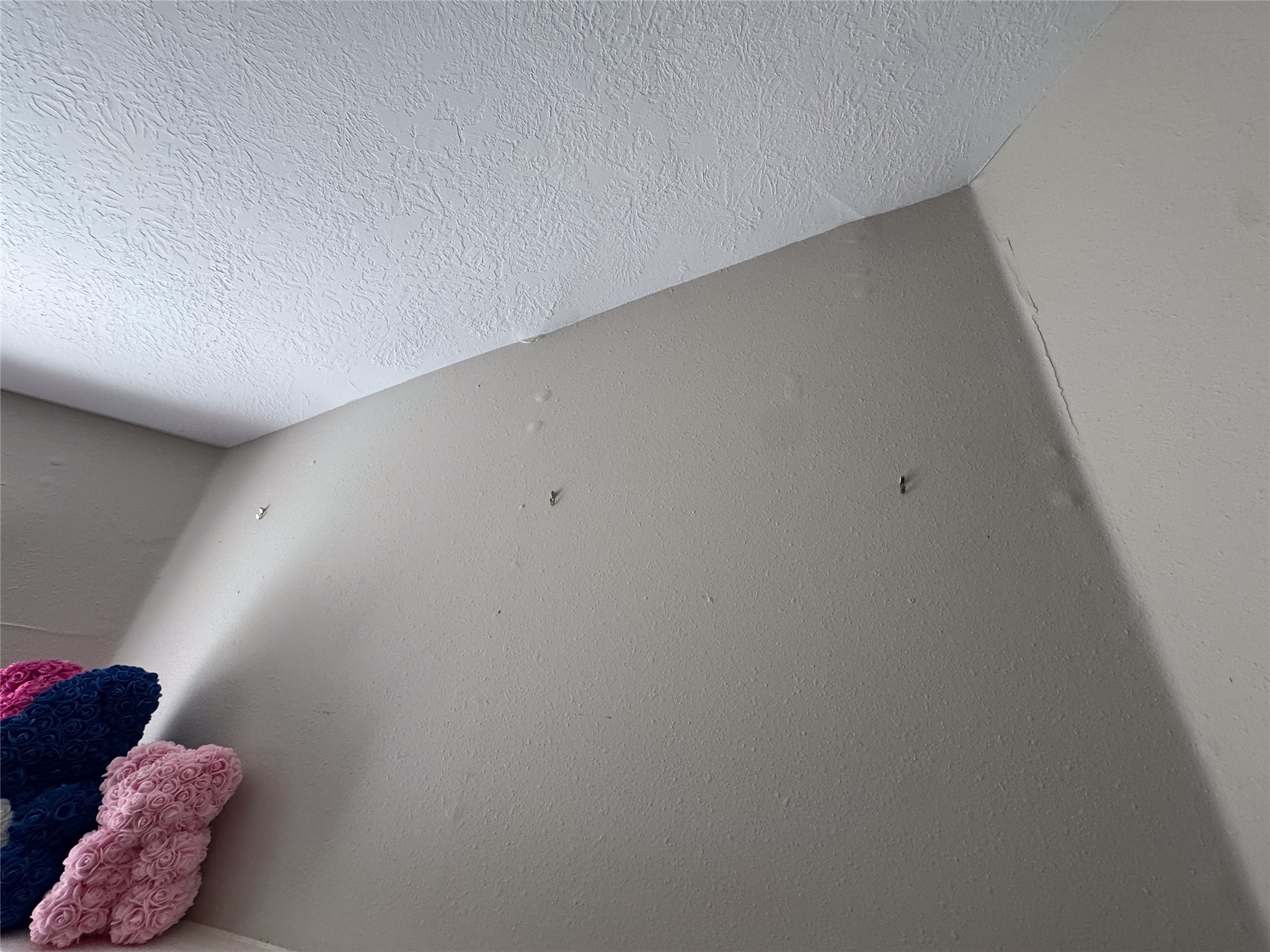 16323 Peach Orchard Drive Property Photo 37