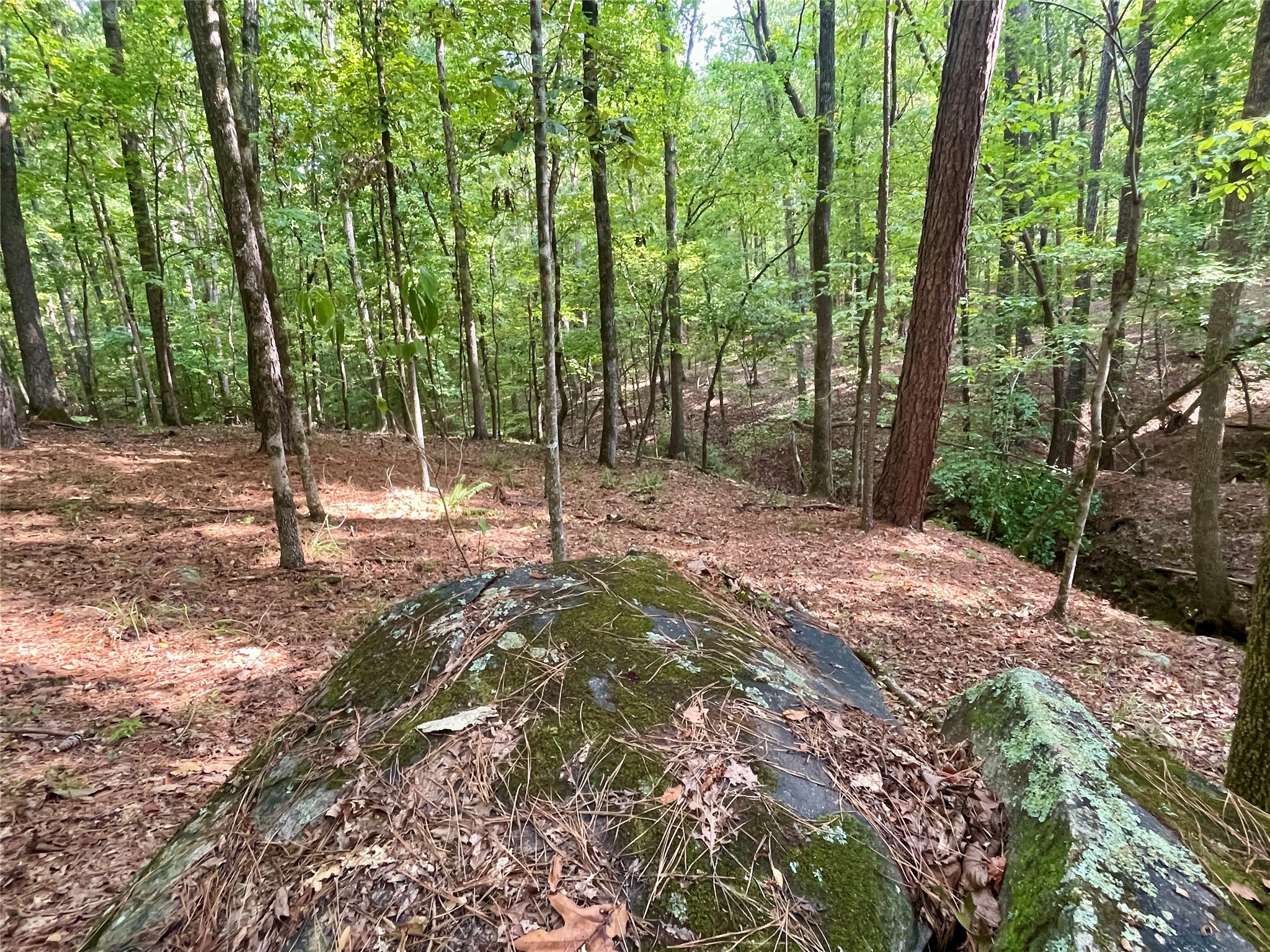 1100 Bartram Trace Road Property Photo 42