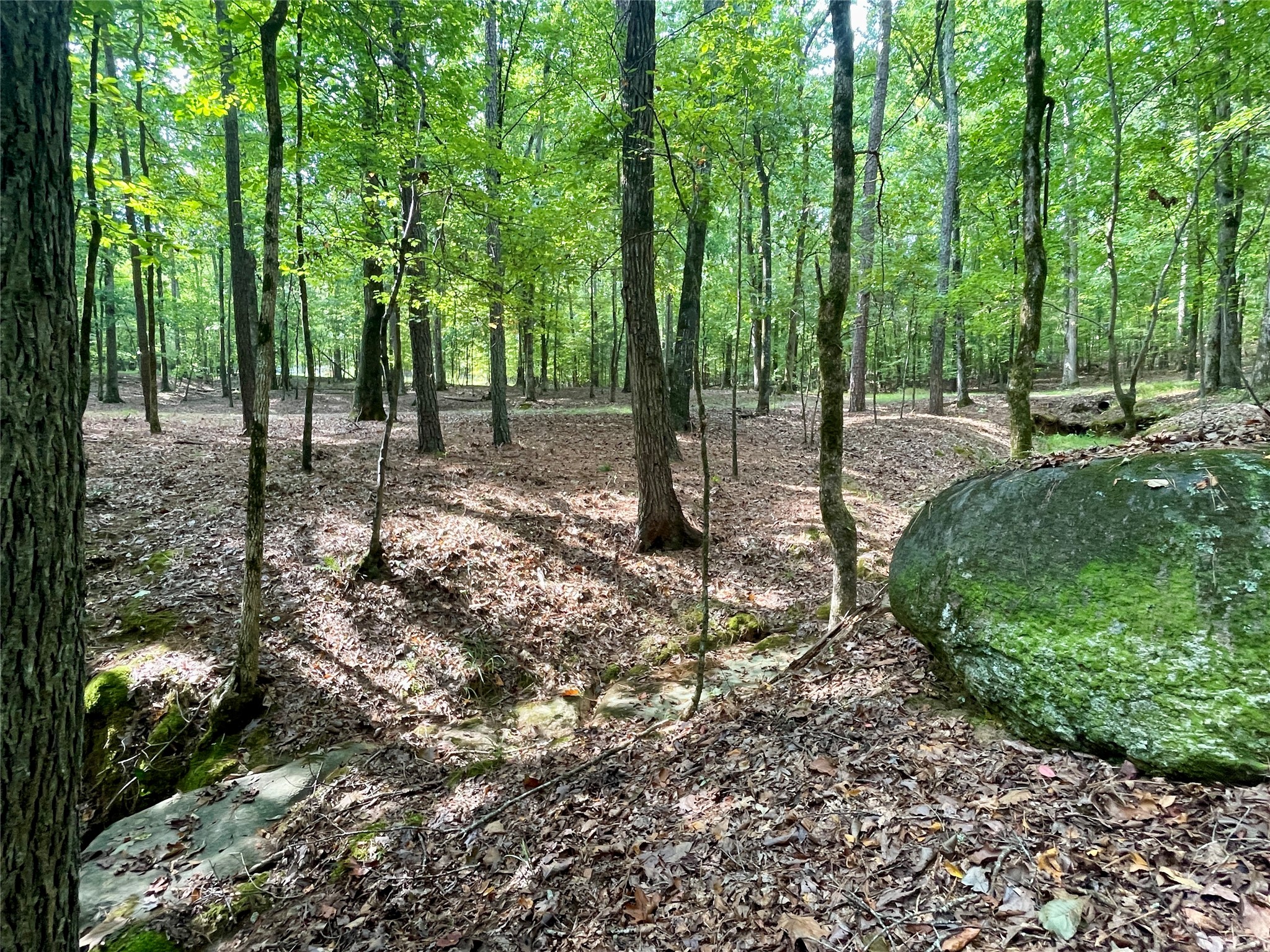 1100 Bartram Trace Road Property Photo 43