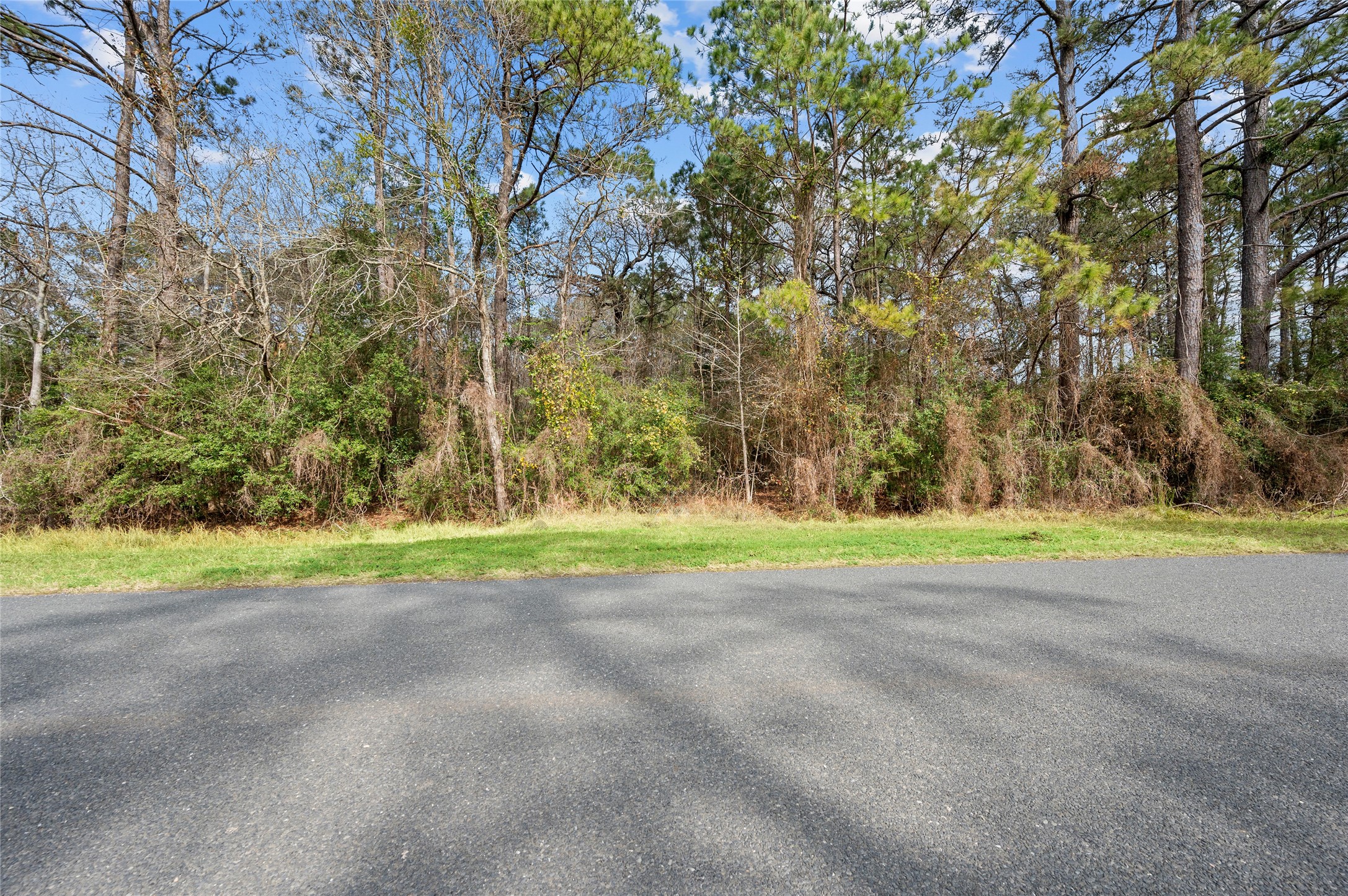 0 Lake Charlotte Road Property Photo 3