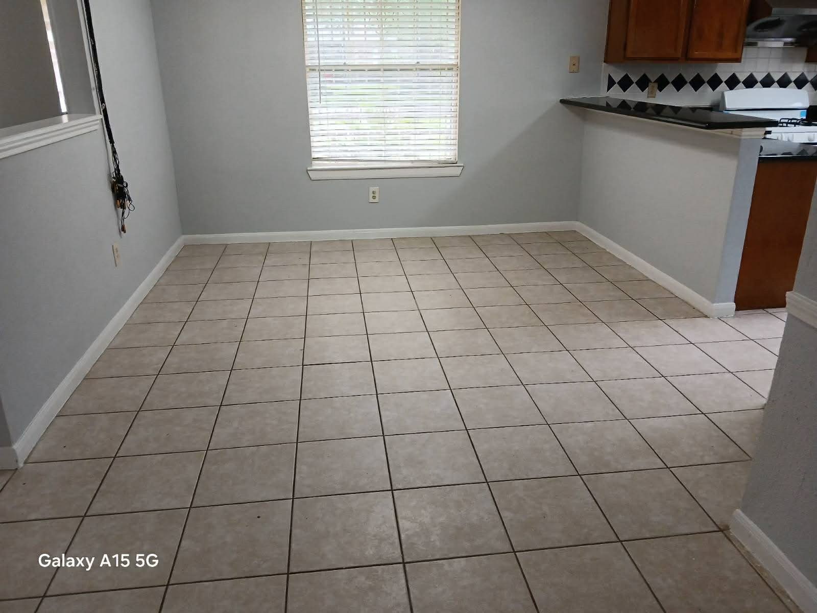 11535 Brook Meadow Drive Property Photo 3