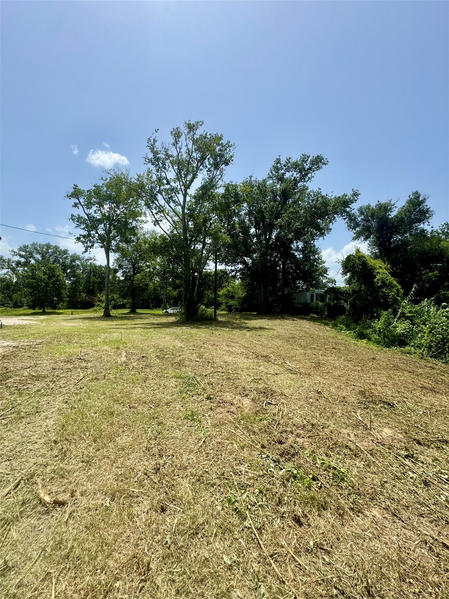 17653 River Road Property Photo 5