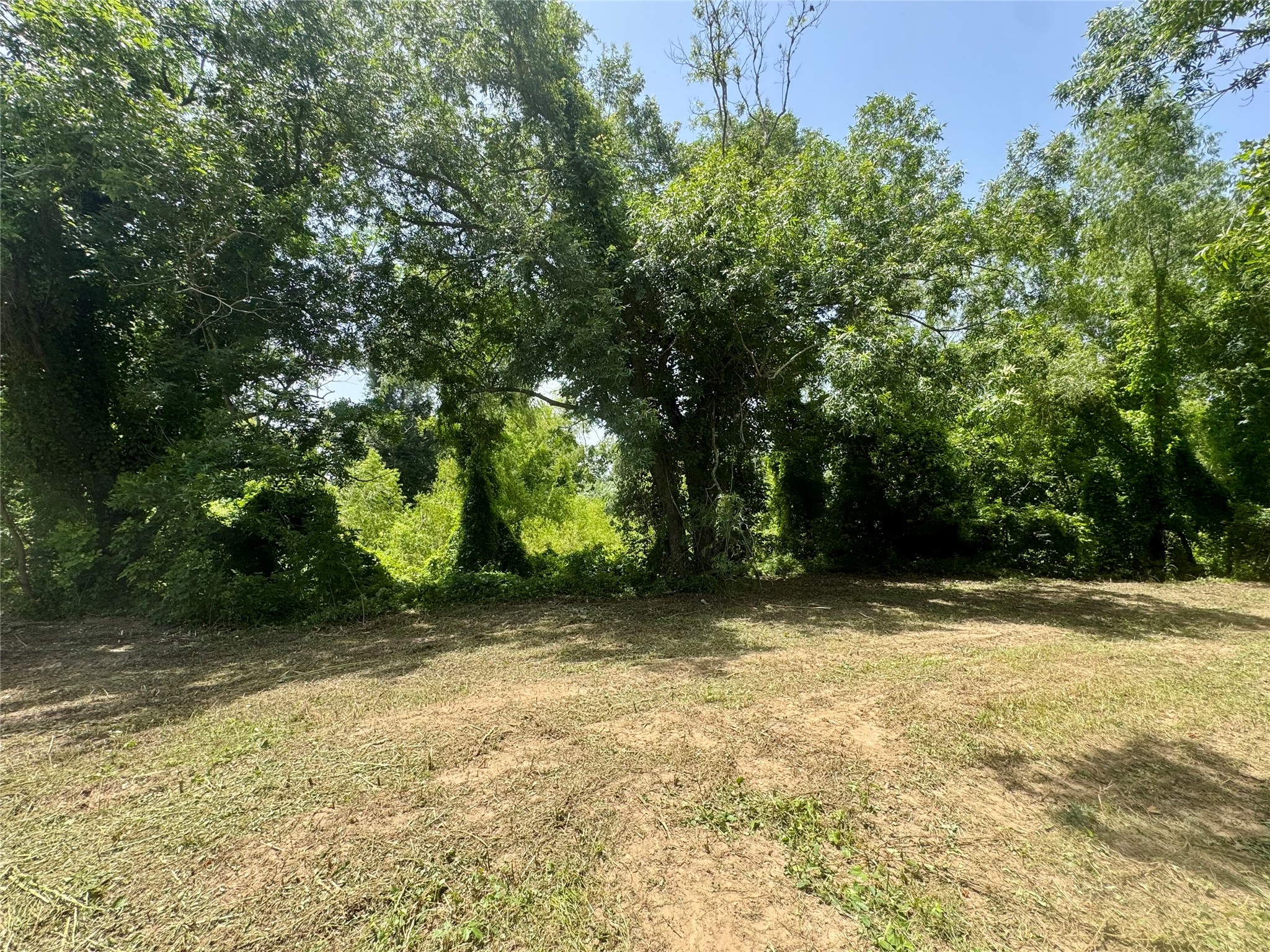17653 River Road Property Photo 7