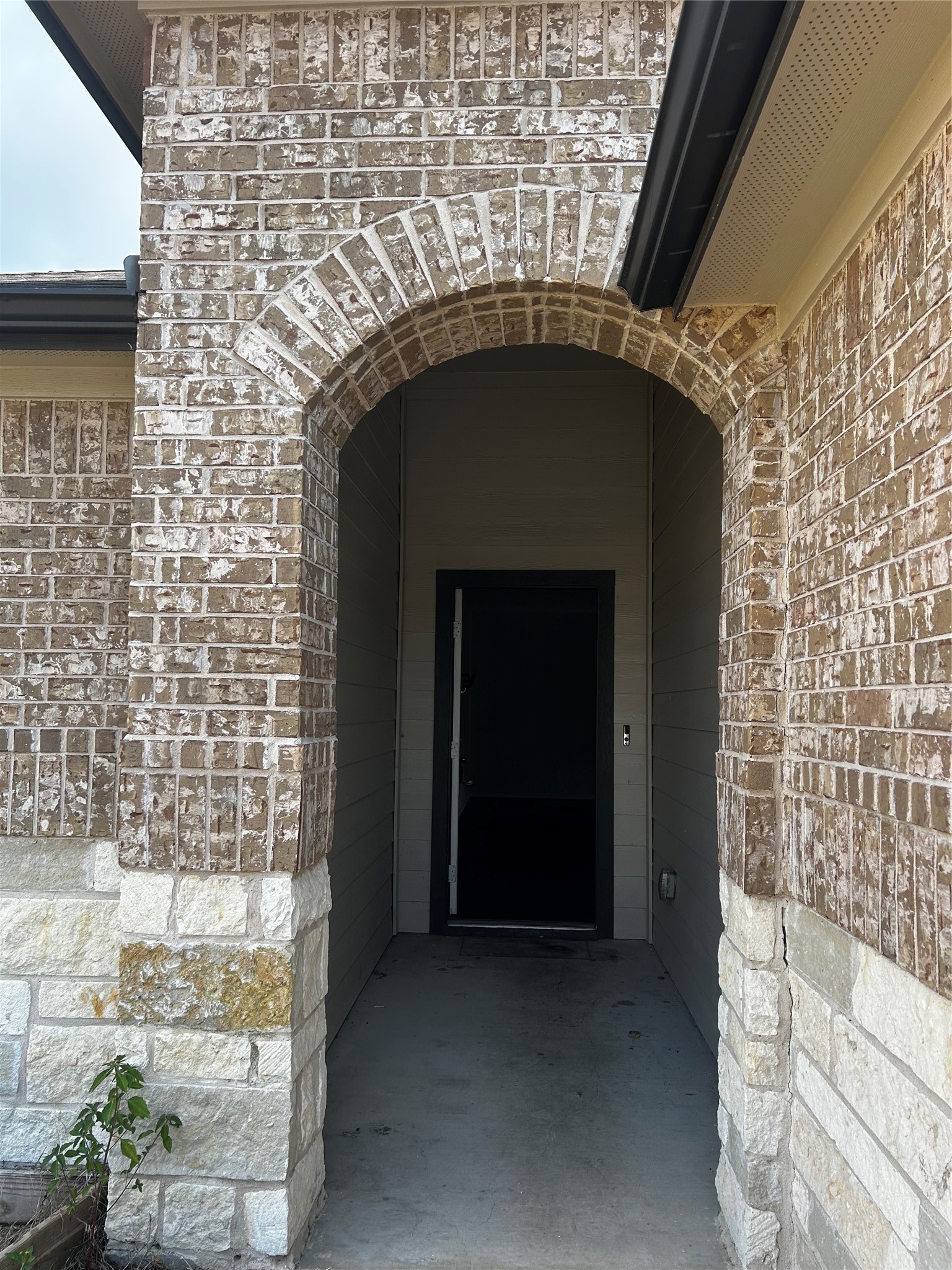 205 Lily Pond Trail Property Photo 2